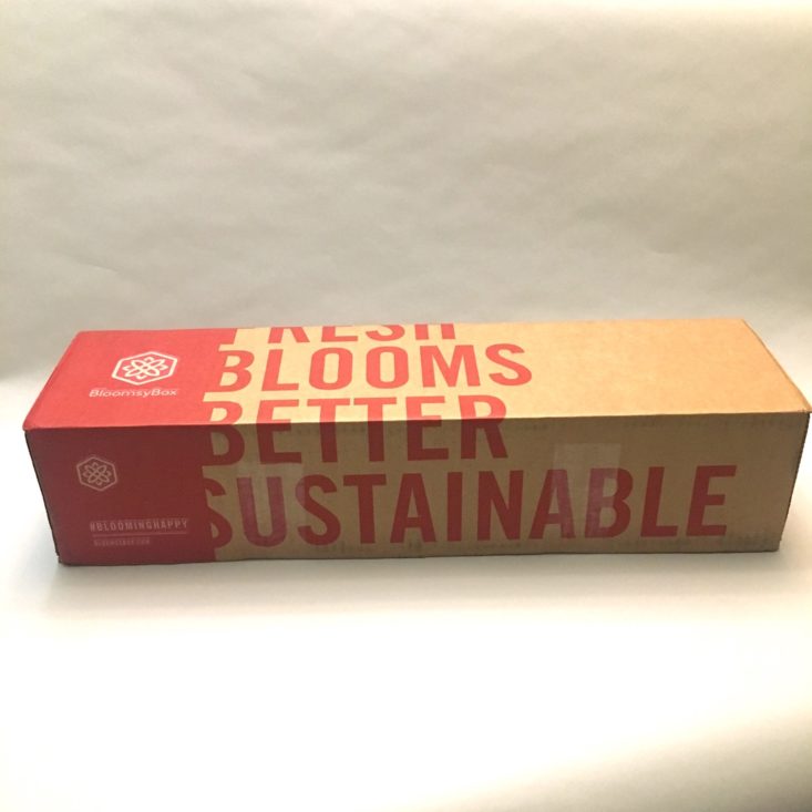 BloomsyBox Subscription Box Review January 2019 MSA