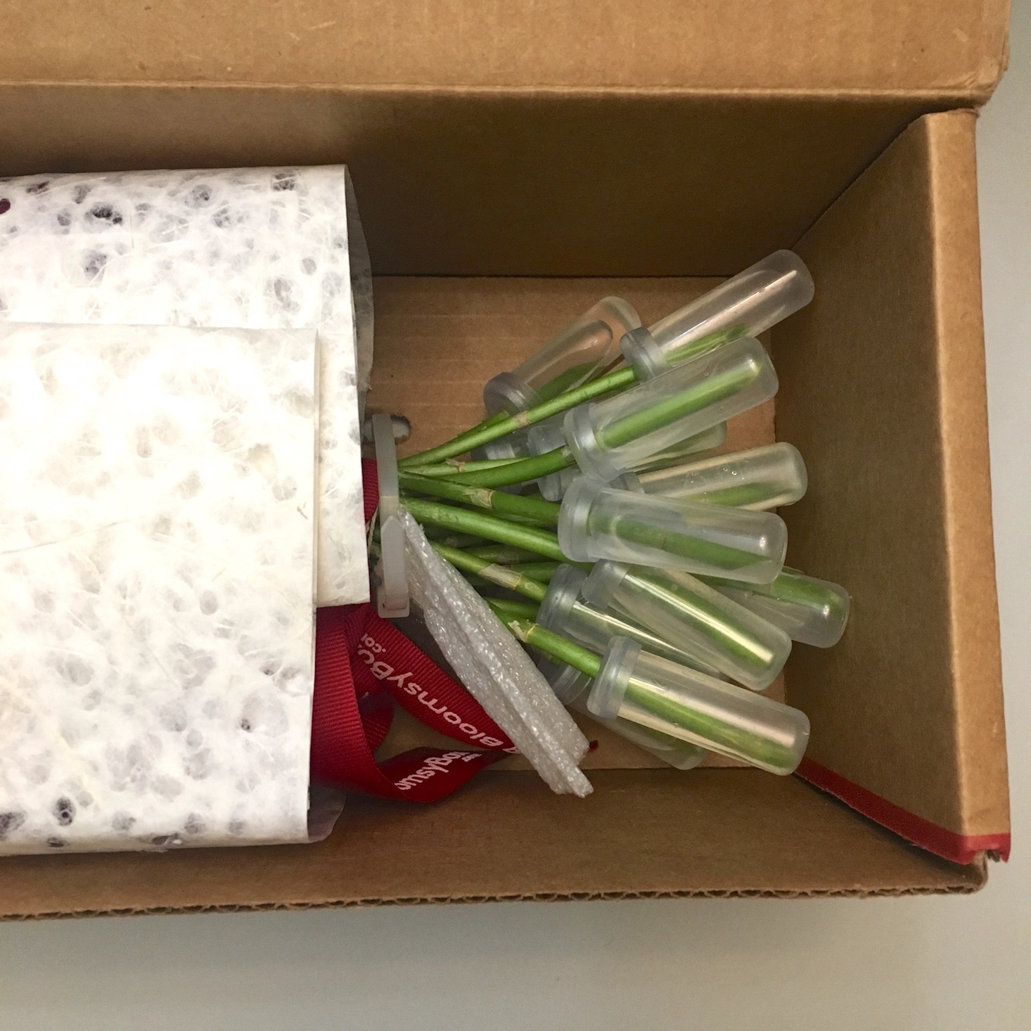 BloomsyBox Subscription Box Review January 2019 MSA