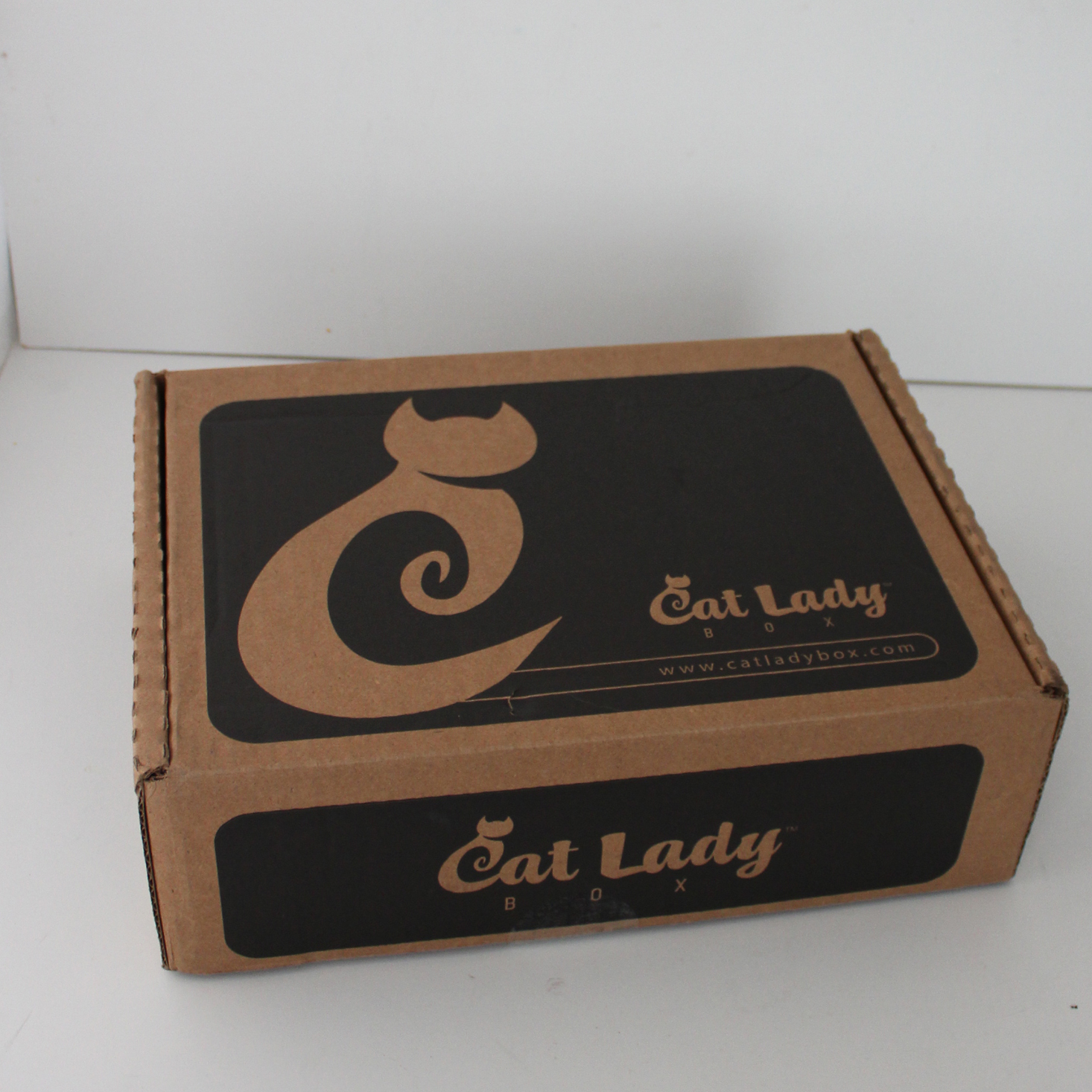 Cat Lady Box Subscription Review – January 2019