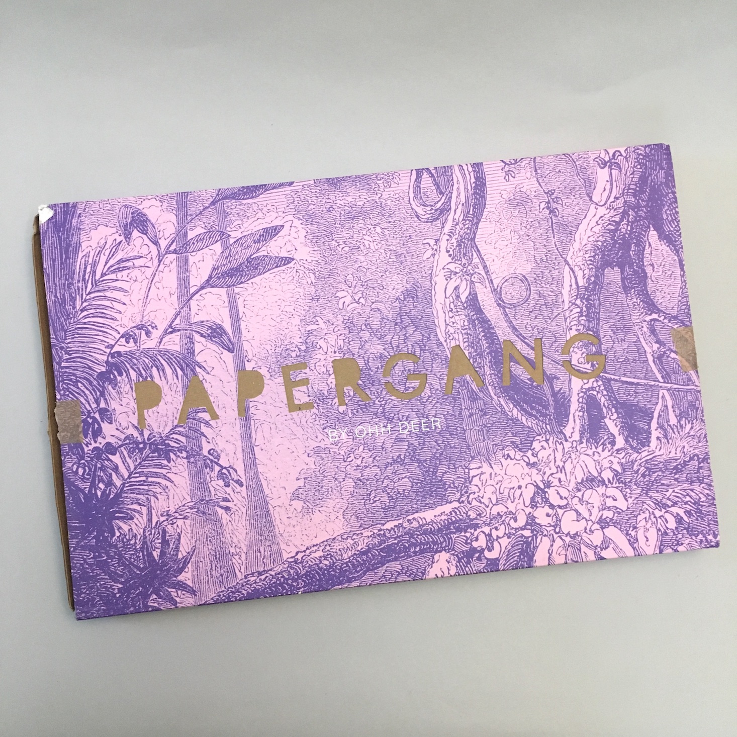 Papergang by Ohh Deer Stationery Box Review + Coupon – January 2019