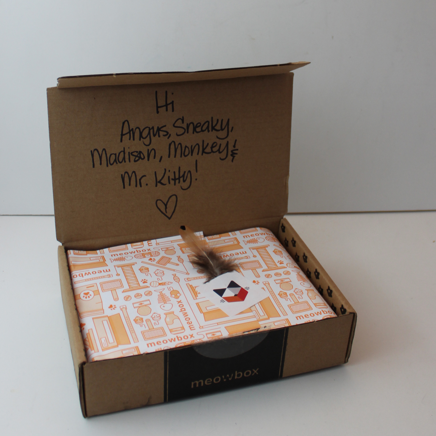 Meowbox “The Meowntains Are Calling” Review + Coupon