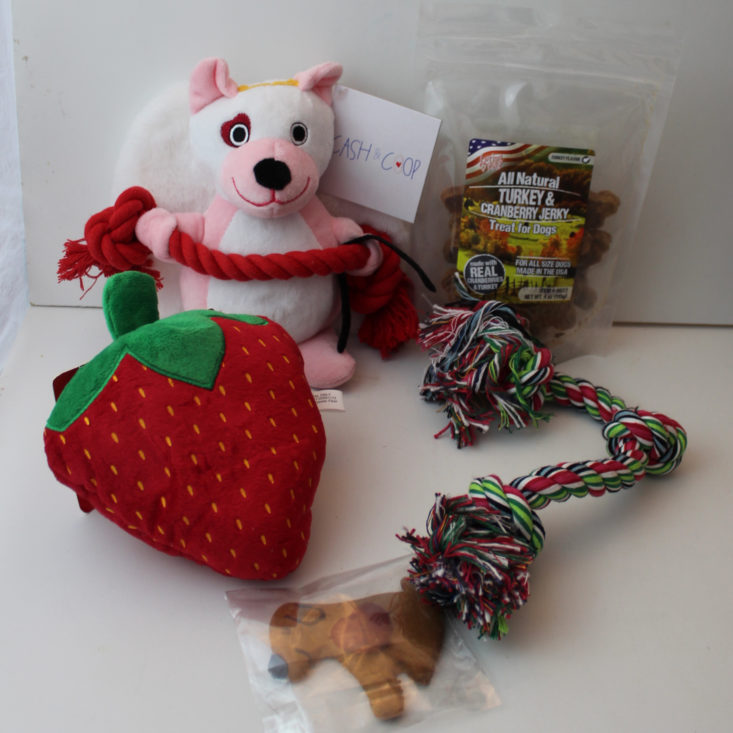 Rescue Box January 2019 - Rescue Box All Items Shown Front