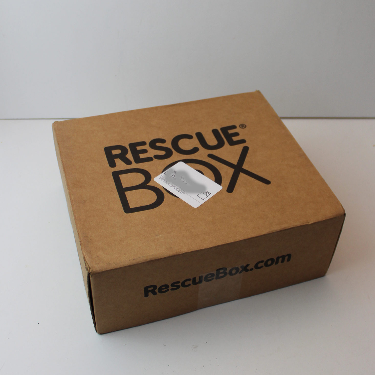 RescueBox Dog Subscription Review + Coupon – January 2019