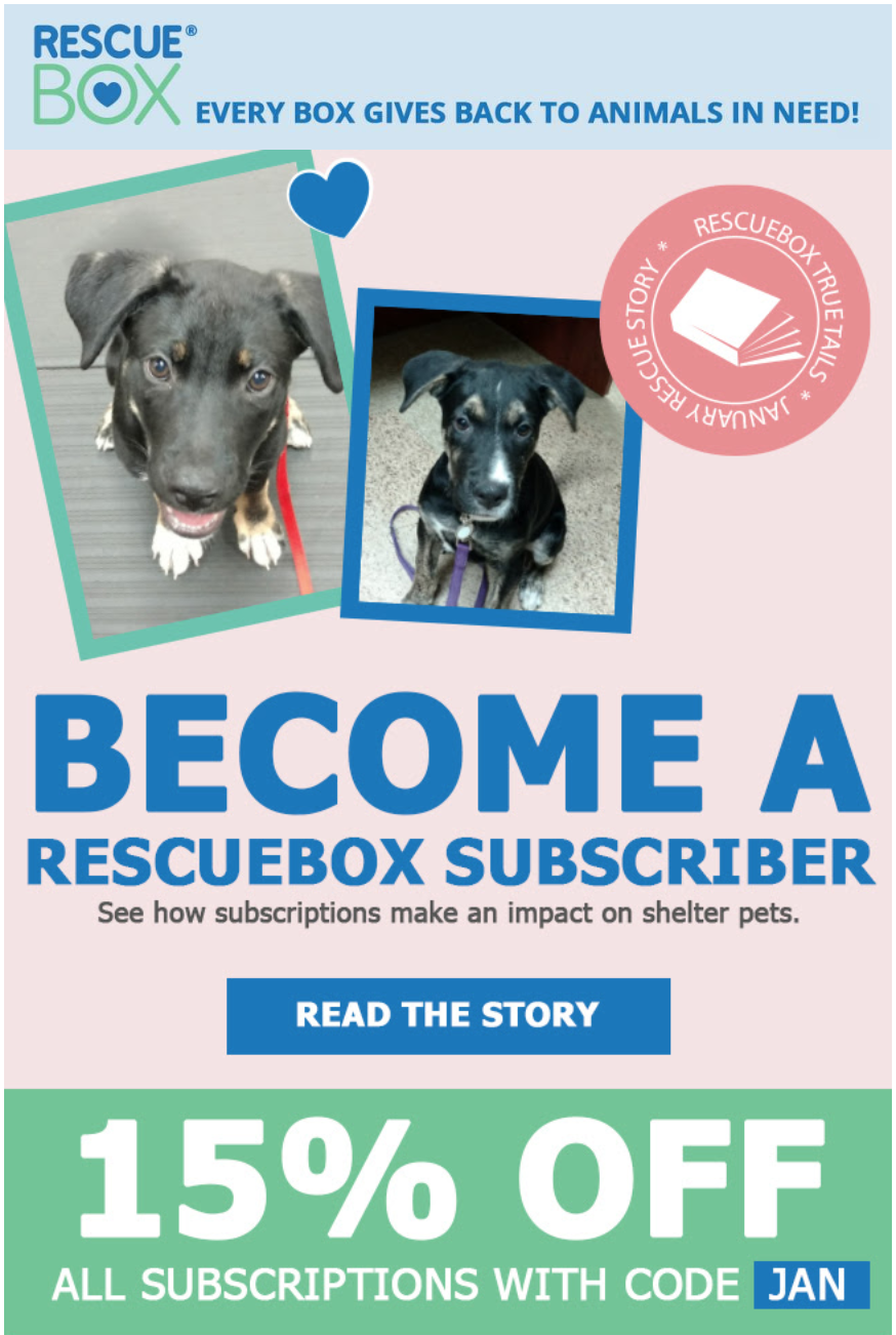 RescueBox Coupon – 15% Off Subscriptions!