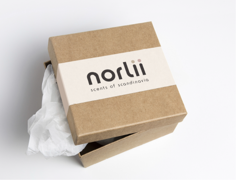 Norlii December 2020 Box – Full Spoilers + Coupon!