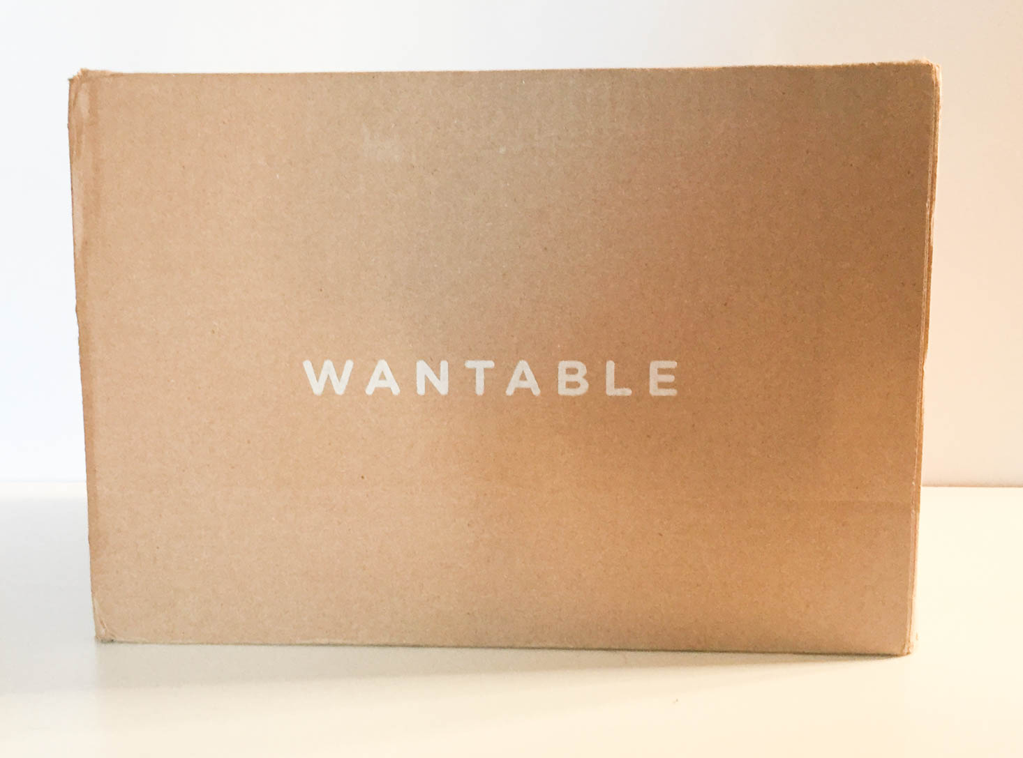 Wantable Style Edit Subscription Review – December 2018