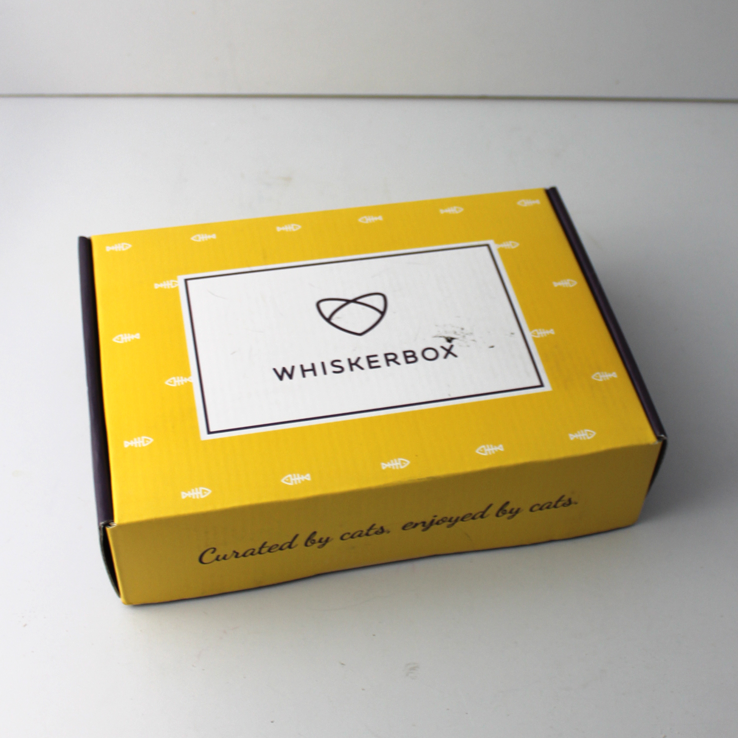 Whiskerbox Subscription Review – January 2019