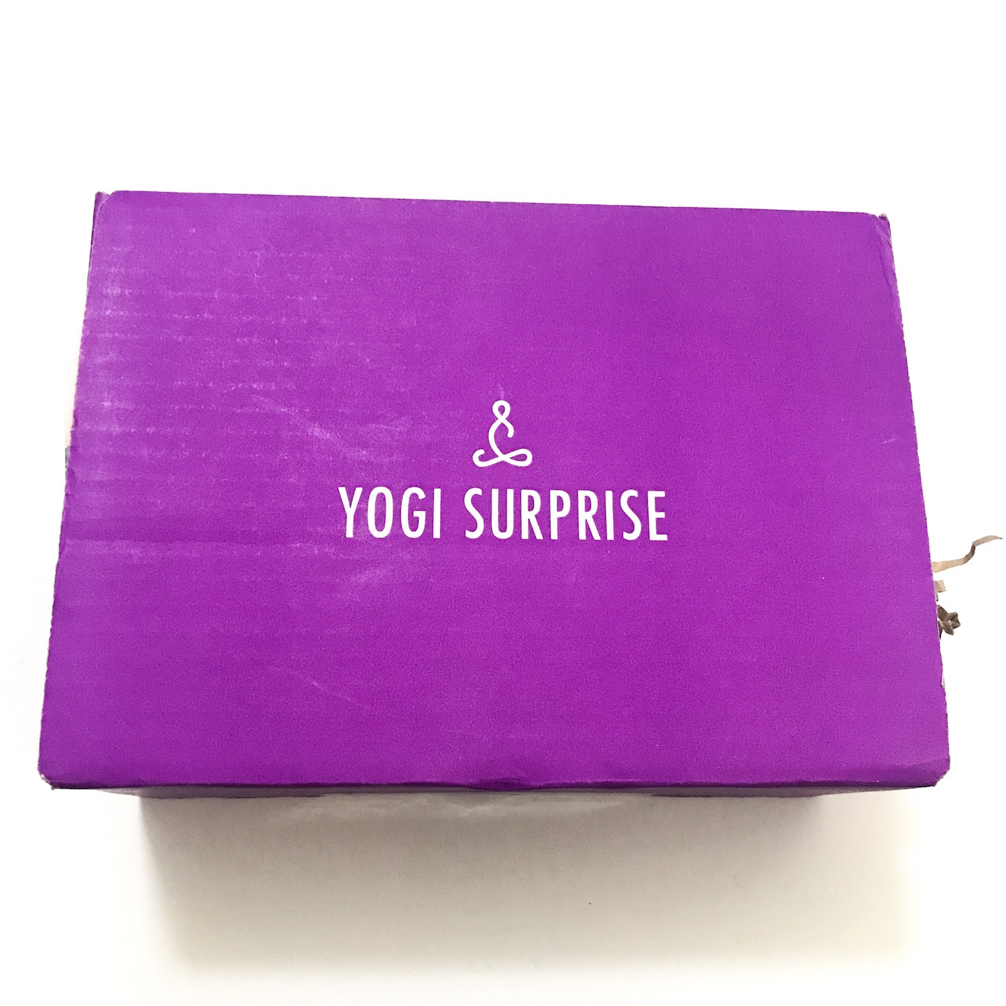 Yogi Surprise Subscription Box Review + Coupon – December 2018