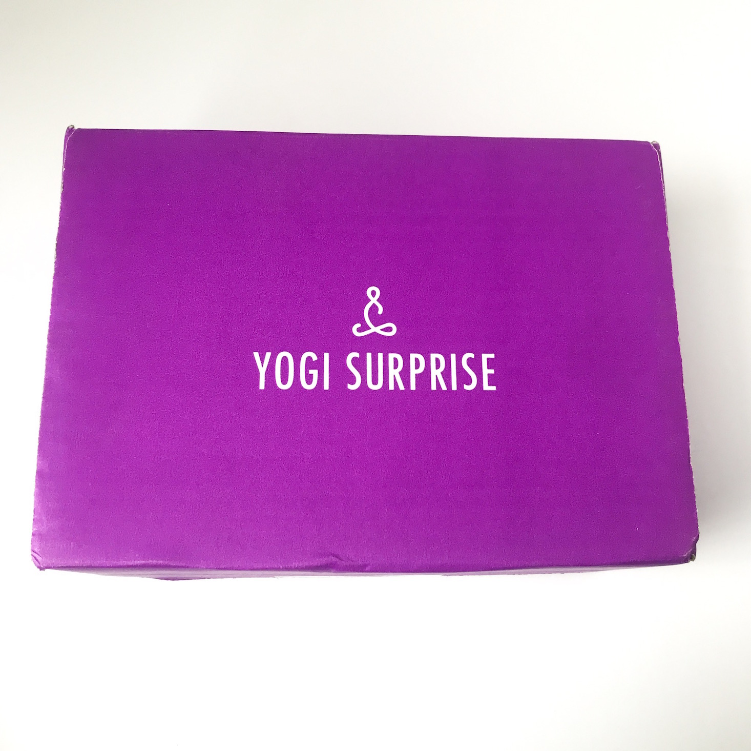 Yogi Surprise Subscription Box Review + Coupon – January 2019