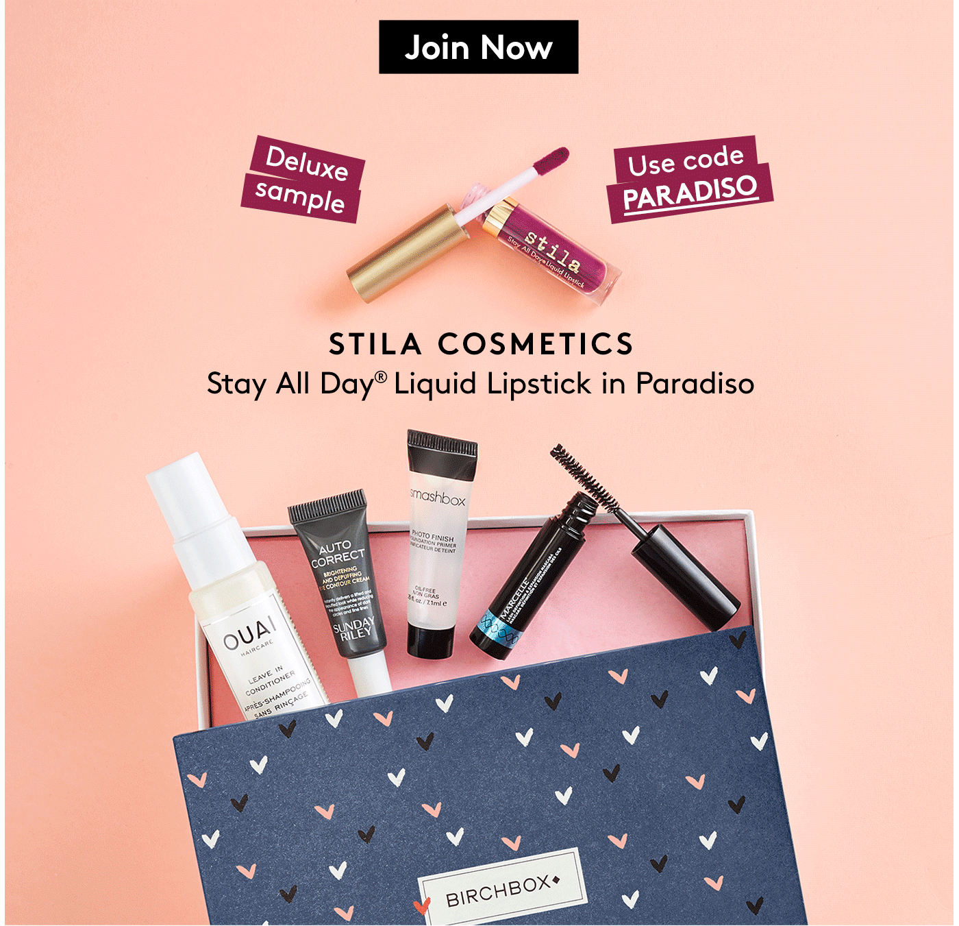 Birchbox Coupon – Free MAC Lipglass or Stila Liquid Lipstick with Subscription!