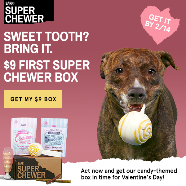 Super Chewer Coupon – First Box for $9!