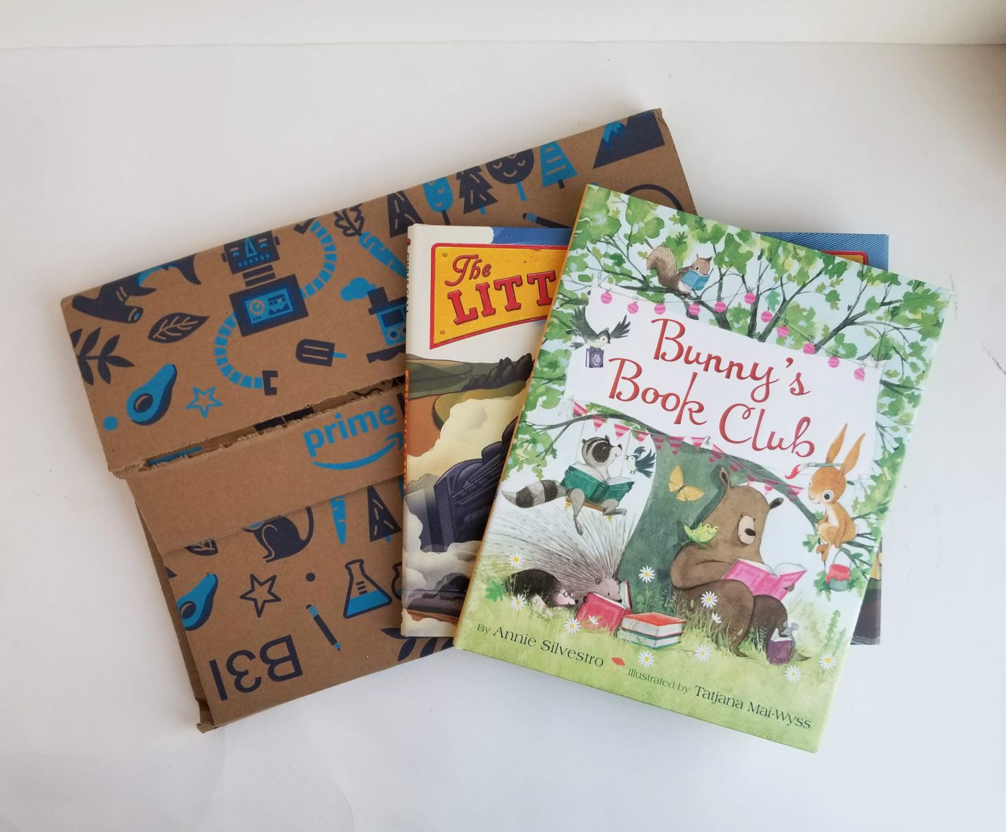 Amazon Prime Book Box, Ages 3-5 Review – March 2019