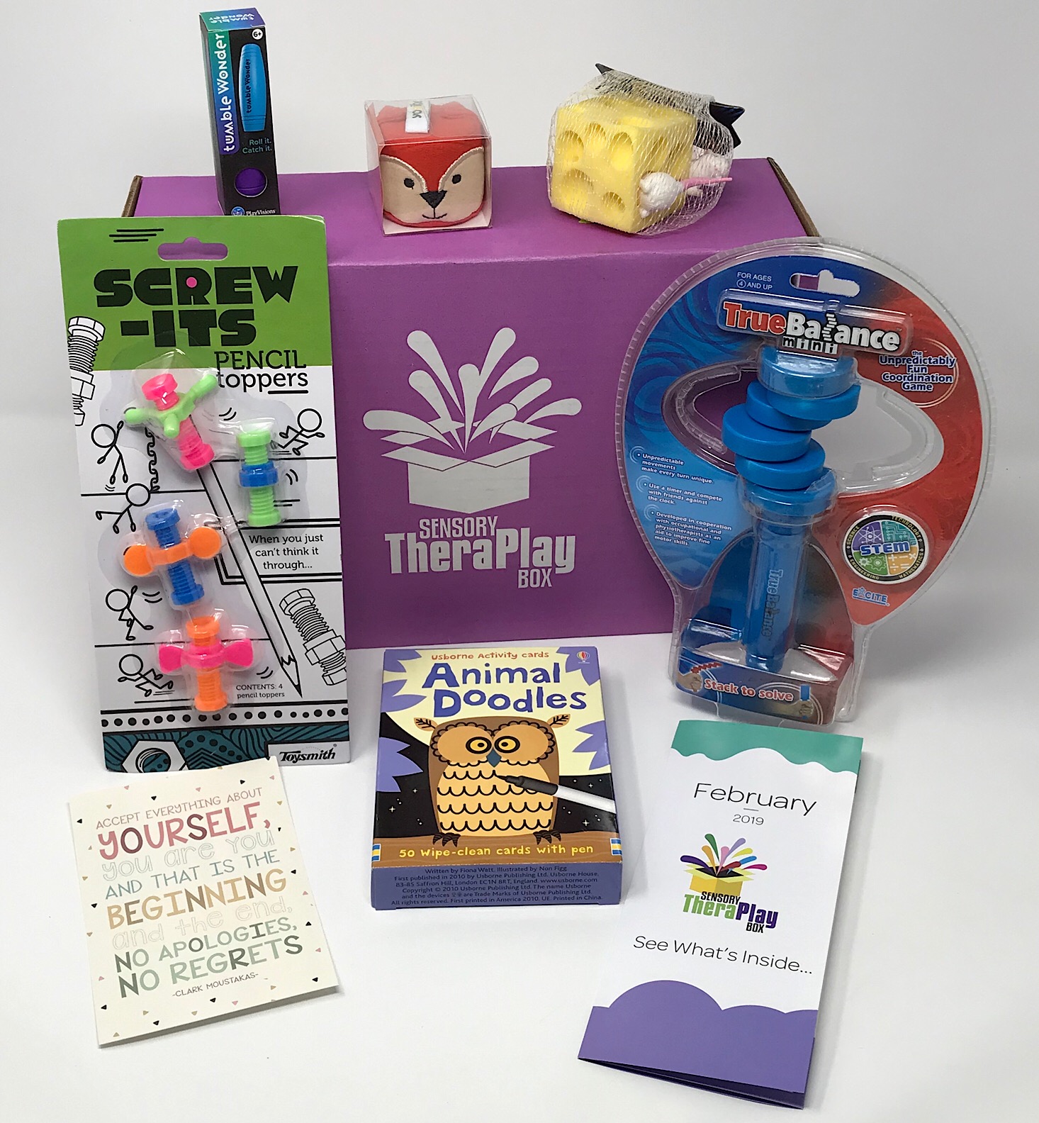 Sensory TheraPlay Box Review + Coupon – February 2019