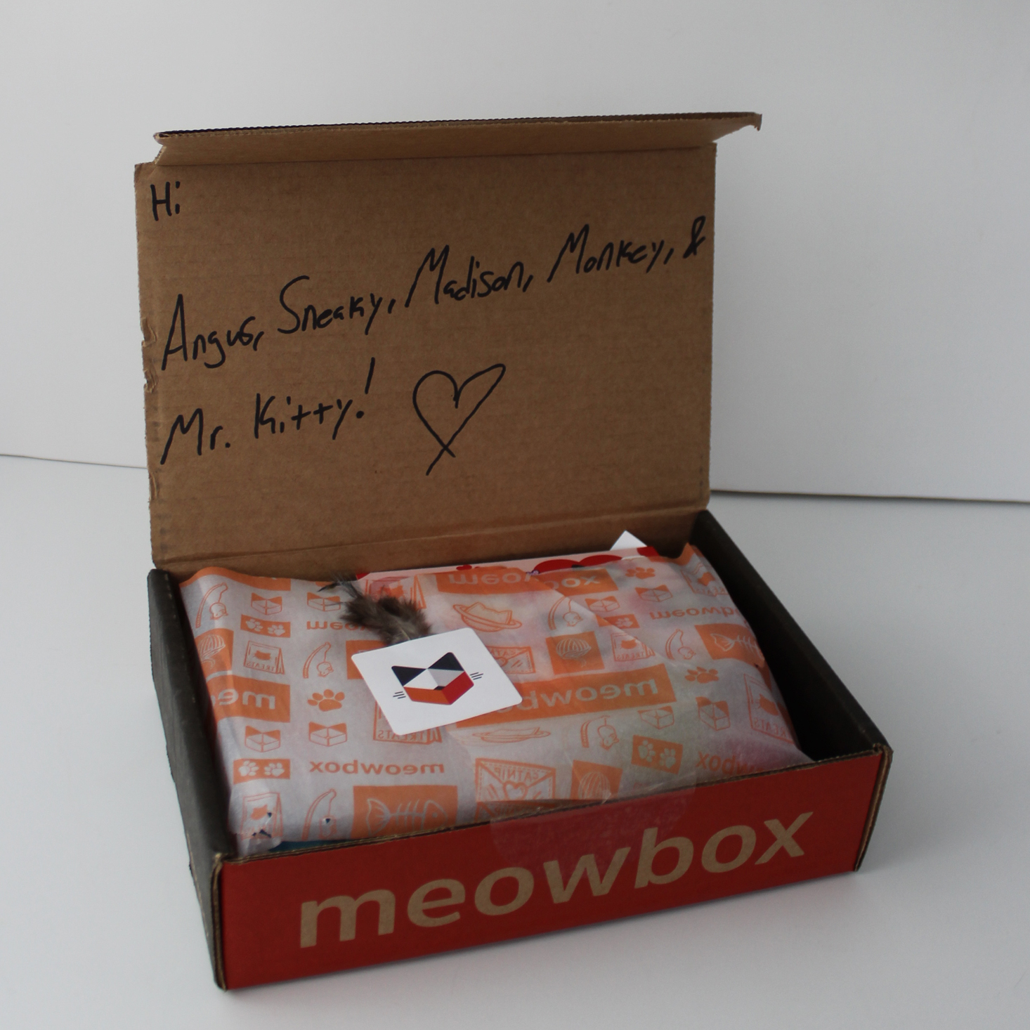 Meowbox Cat Subscription Box Review + Coupon – February 2019