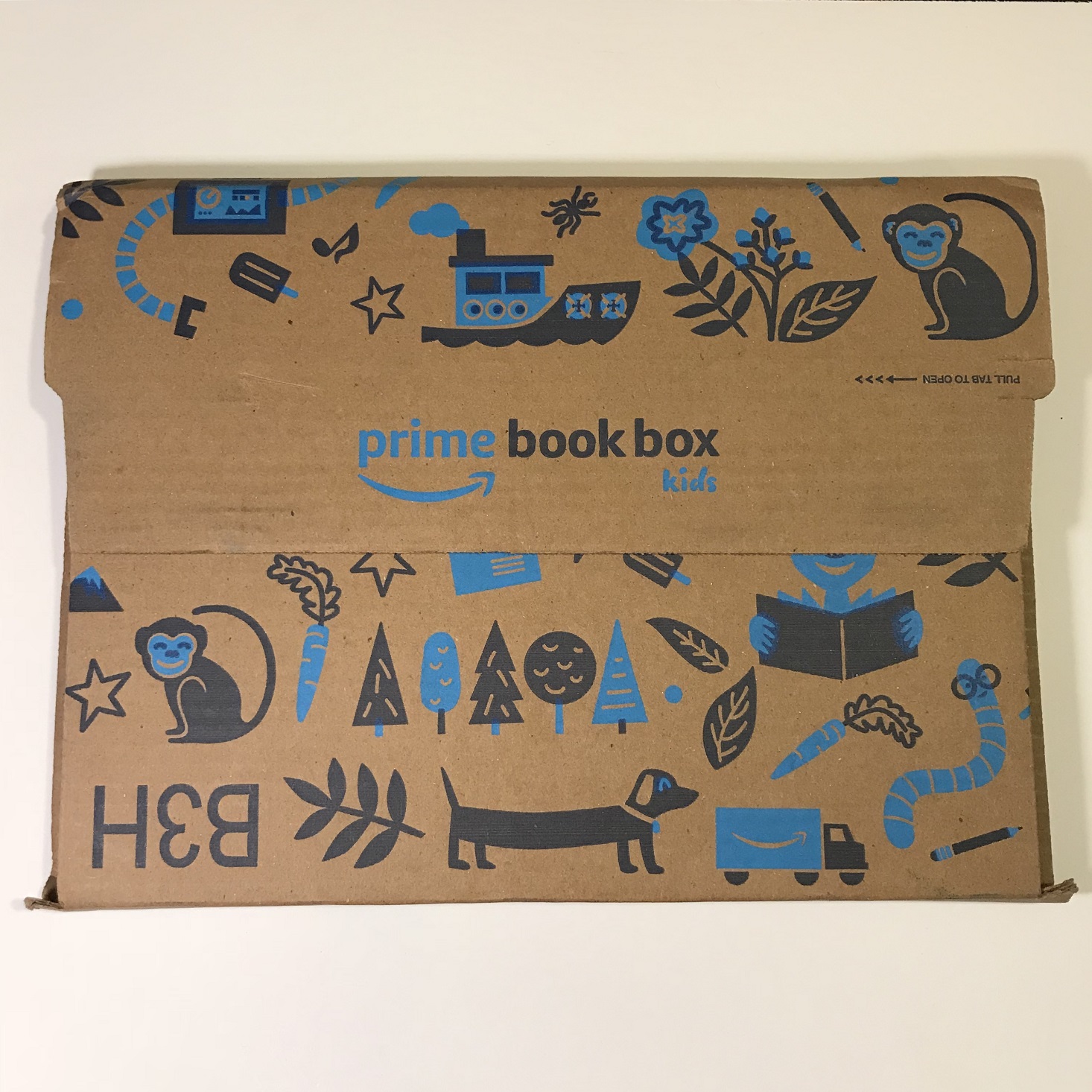 Amazon Prime Book Box, Ages 6-8 Review – January 2019