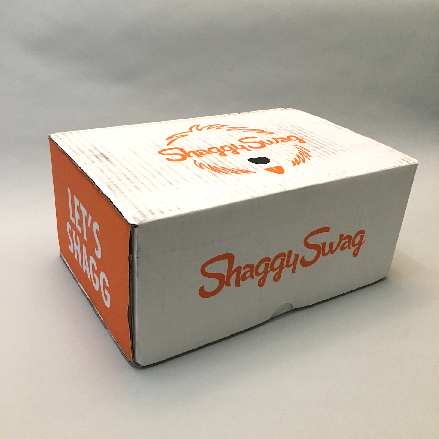 ShaggyStyle Dog Subscription Review + Coupon – January 2019