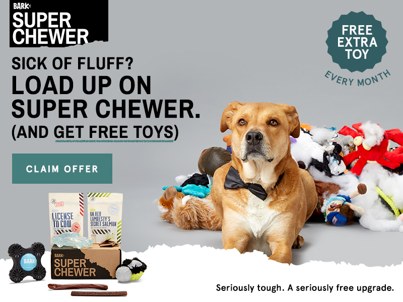 New Super Chewer Coupon – Free Bonus Toy Every Month with Longer Subscription!
