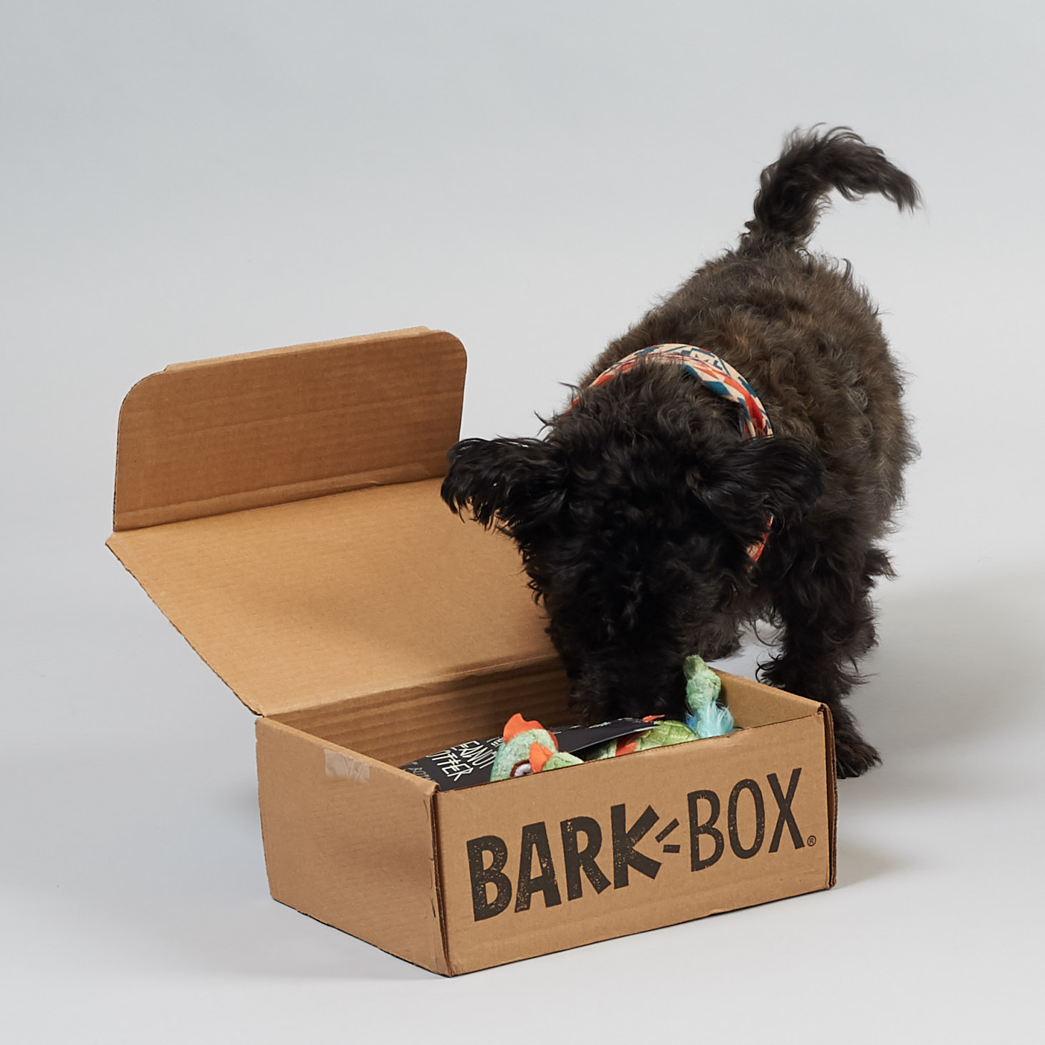 BarkBox Review + Coupon – January 2019