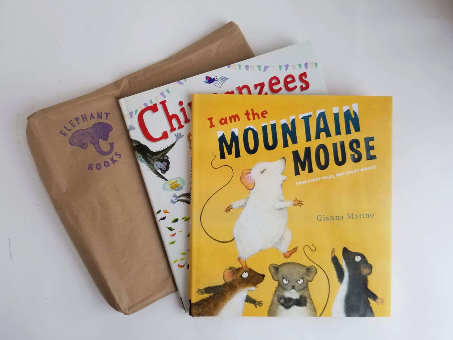 Elephant Books Subscription Box Review + Coupon – March 2019