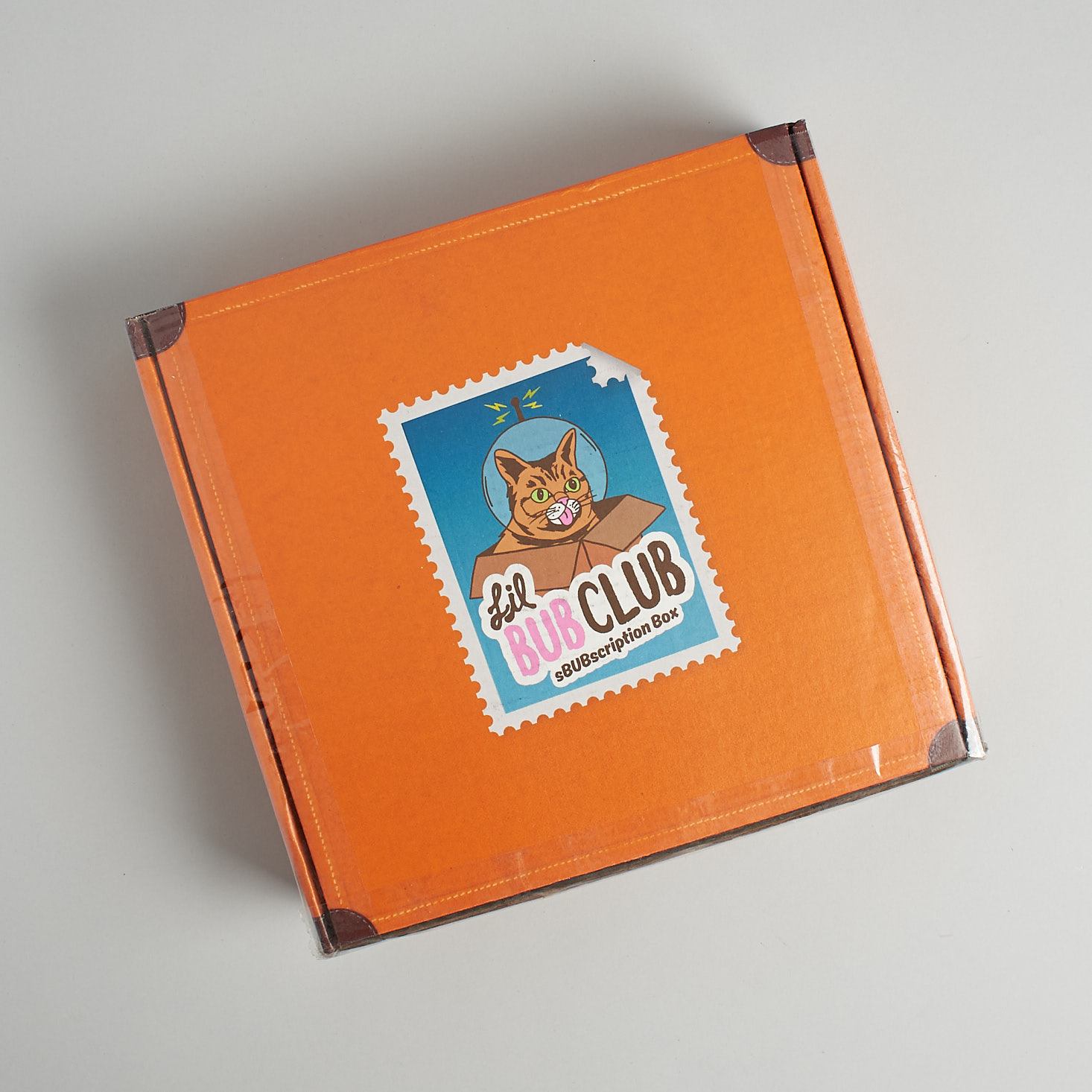 Lil Bub Club Sub #3 Travel Edition Solar Box Review + Coupon