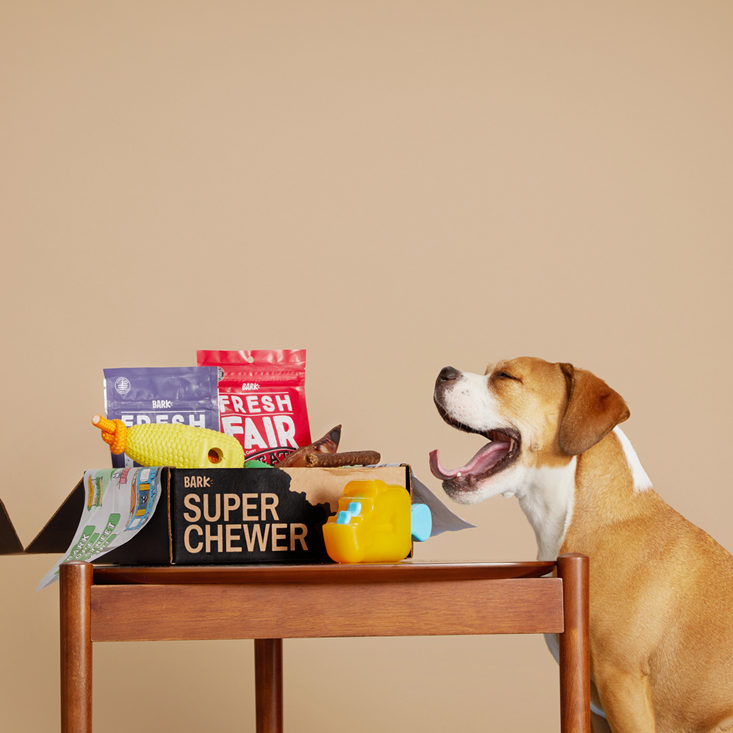 Super Chewer Box