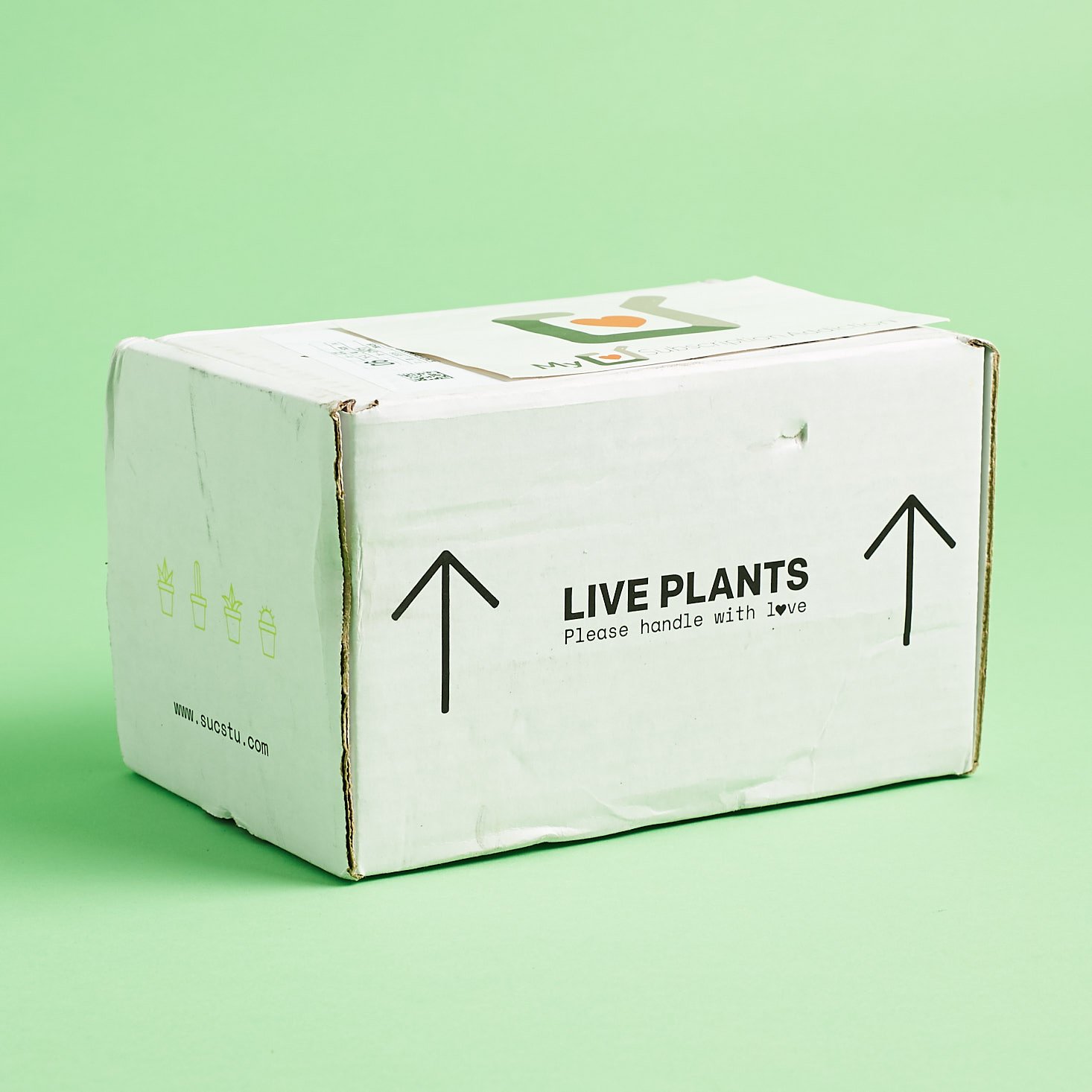 Succulent Studio Plant Subscription Box Review + Coupon – March 2019