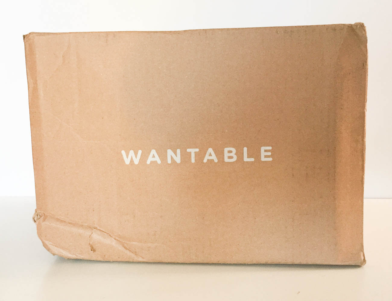 Wantable Style Edit Subscription Review – February 2019