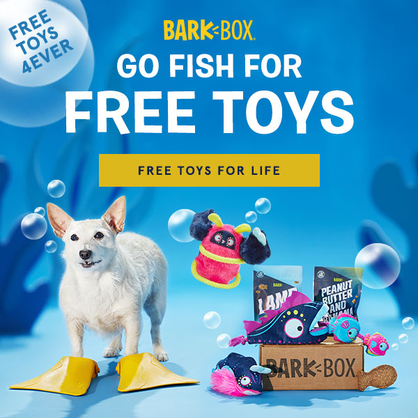 Last Day! BarkBox Coupon – Free Bonus Toy Every Month with 3-Month Subscription!