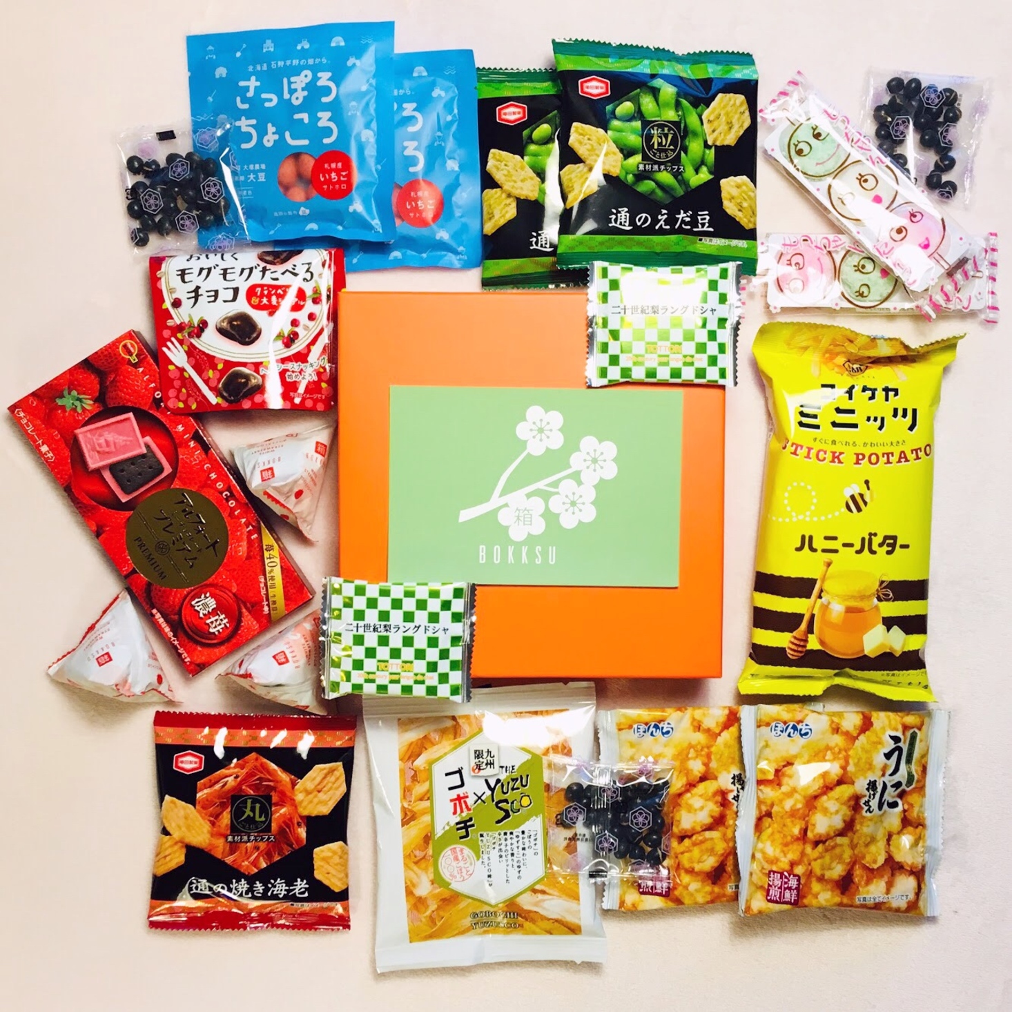 Bokksu “Spring Picnic” Review + Coupon – March 2019