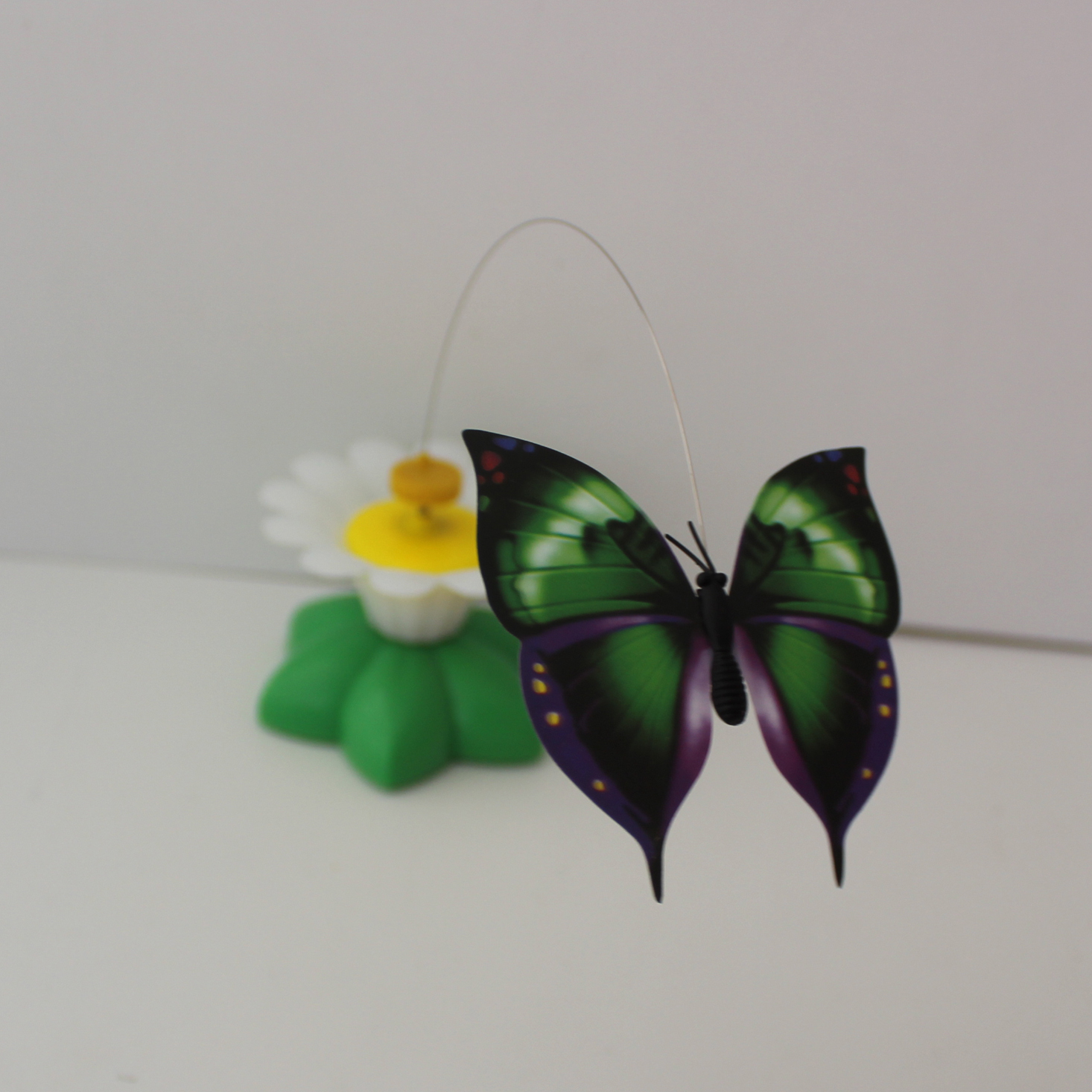 Cat Lady Box Subscription Review + Coupon April 2019 MSA