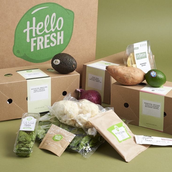 hellofresh box with its contents