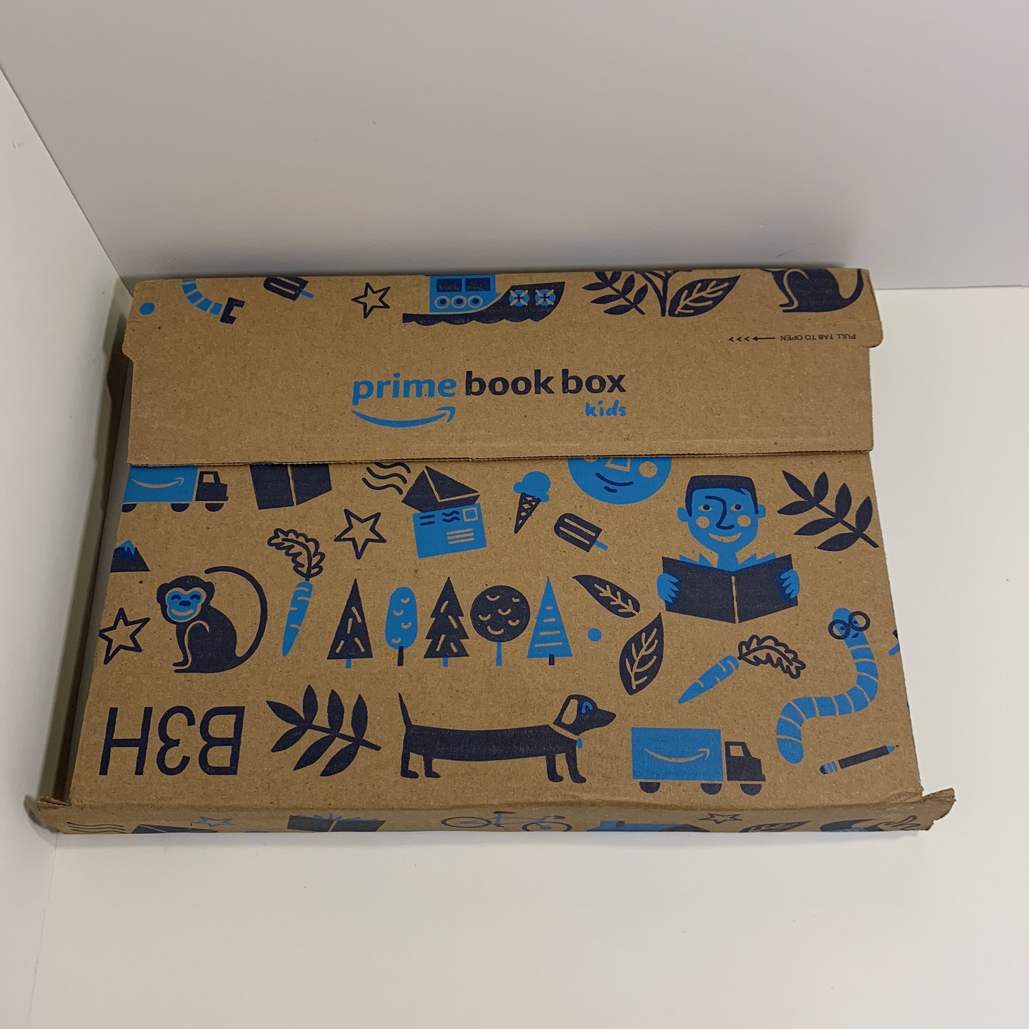 Amazon Prime Book Box, Ages 6 – 8 Review – March 2019