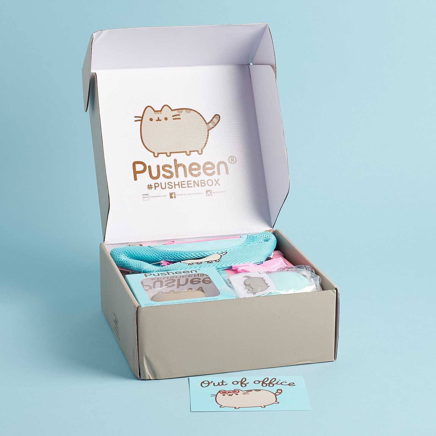 Pusheen Box Subscription Review - Spring 2019 | MSA