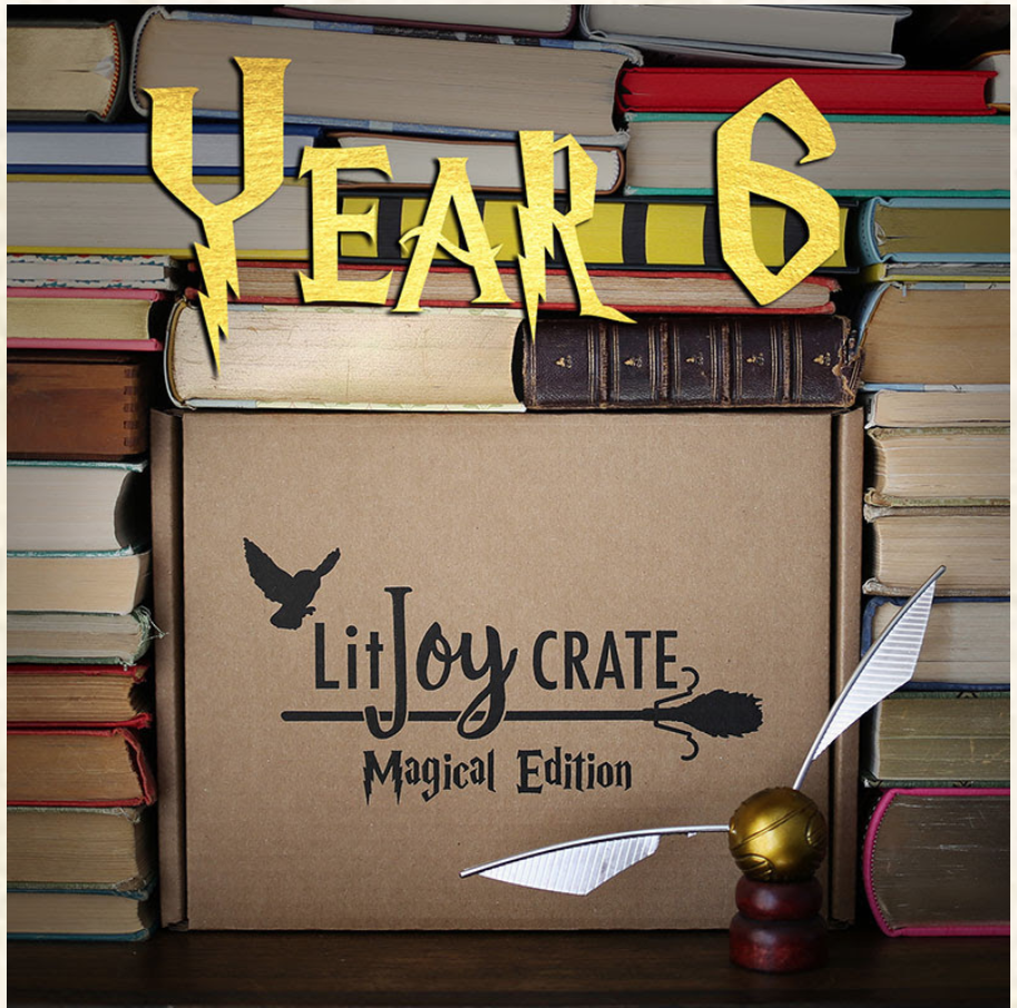 LitJoy Limited Edition Harry Potter Magical Crate Year 6 – Available Now!