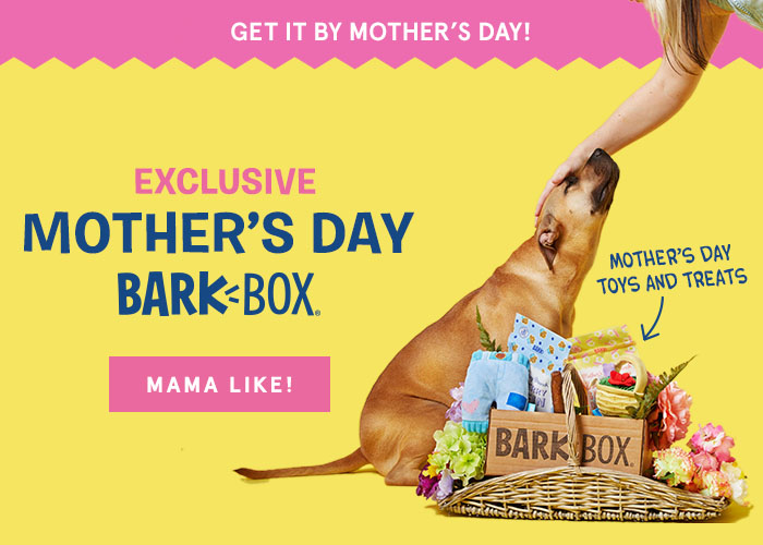 BarkBox Limited Edition Mother’s Day Box Available Now + Free Month!