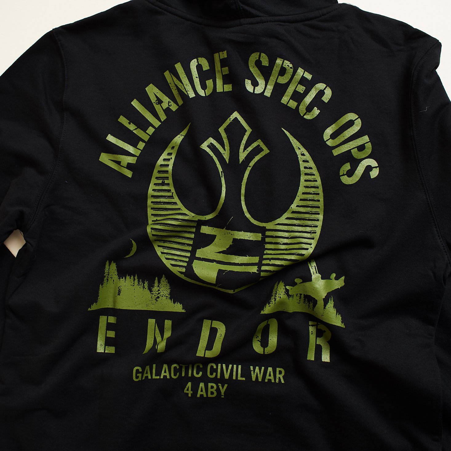 Star Wars Endor Rebel Crate May 2019 review hoodie back detail