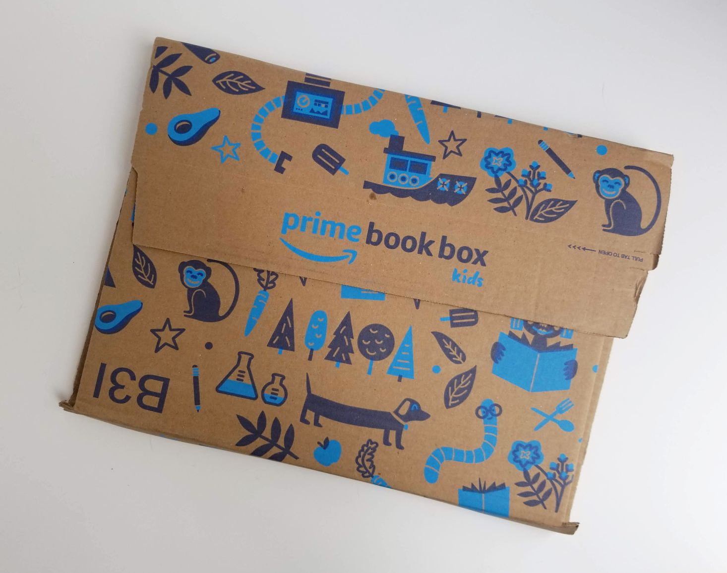 Amazon Prime Book Box, Ages 35 Review May 2019 MSA