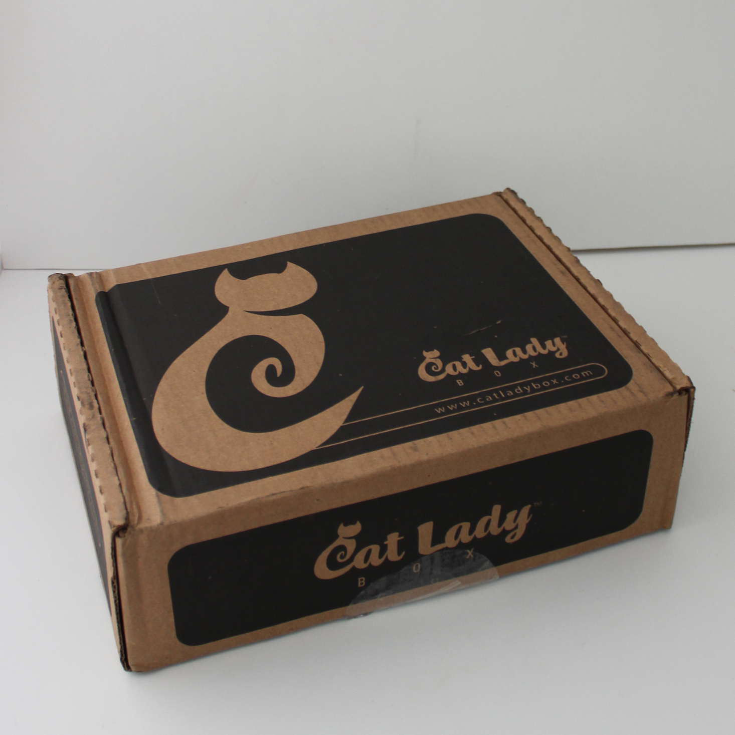 CatLadyBox Subscription Review + Coupon – June 2019