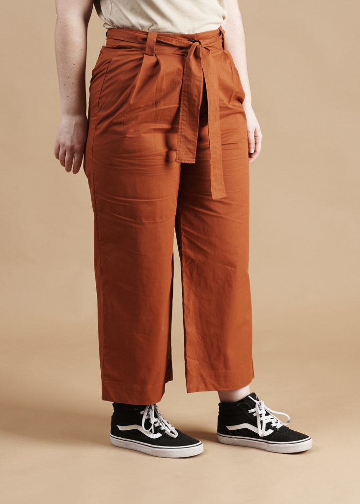 Frank and Oak May 2019 pants