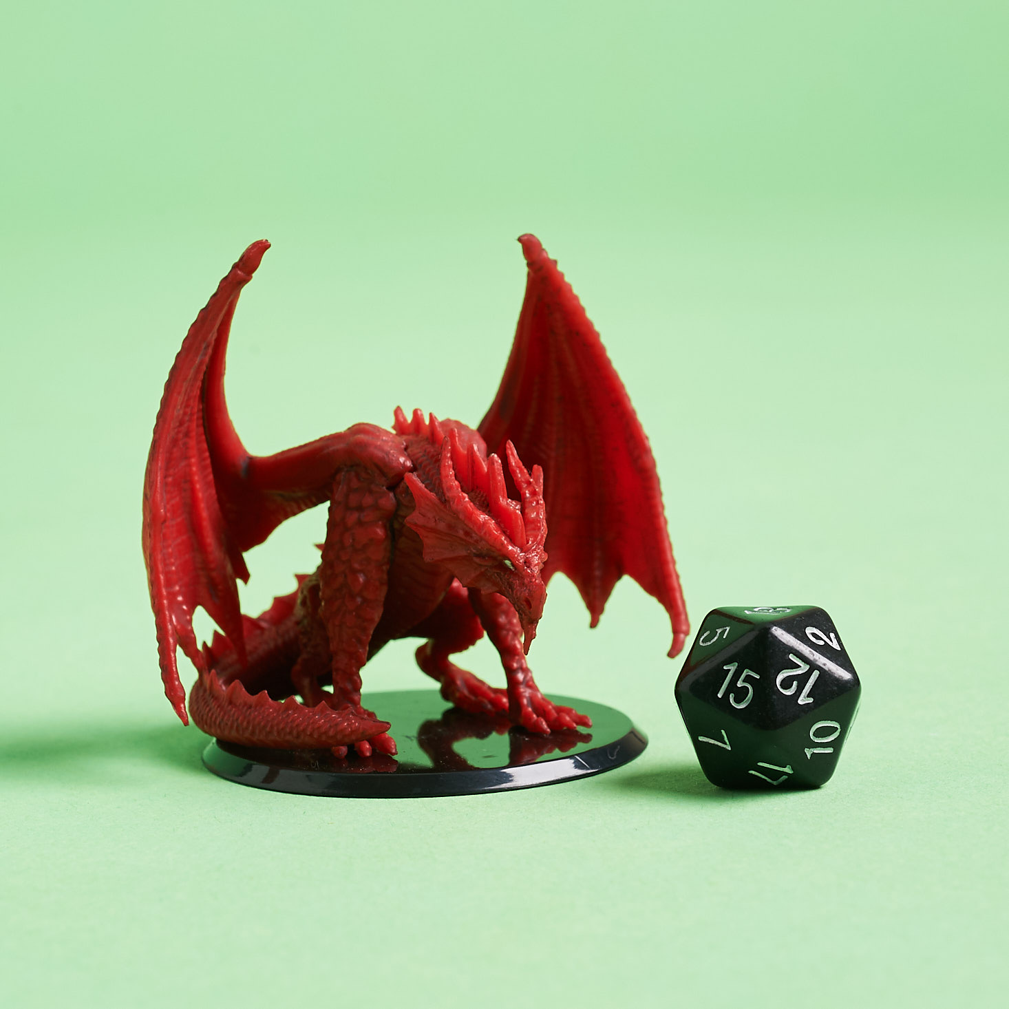dragon dice holder