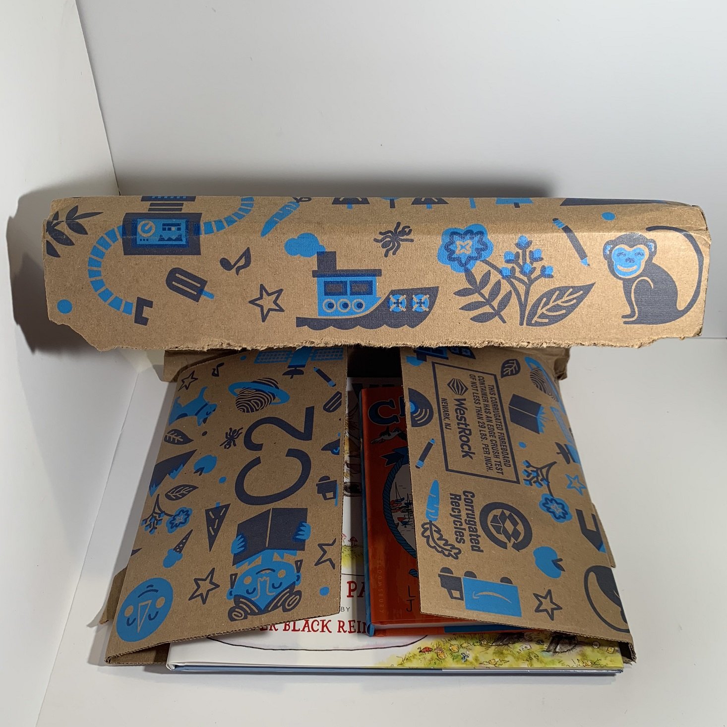 Amazon Prime Book Box, Ages 6 – 8 Review - April 2019 | MSA