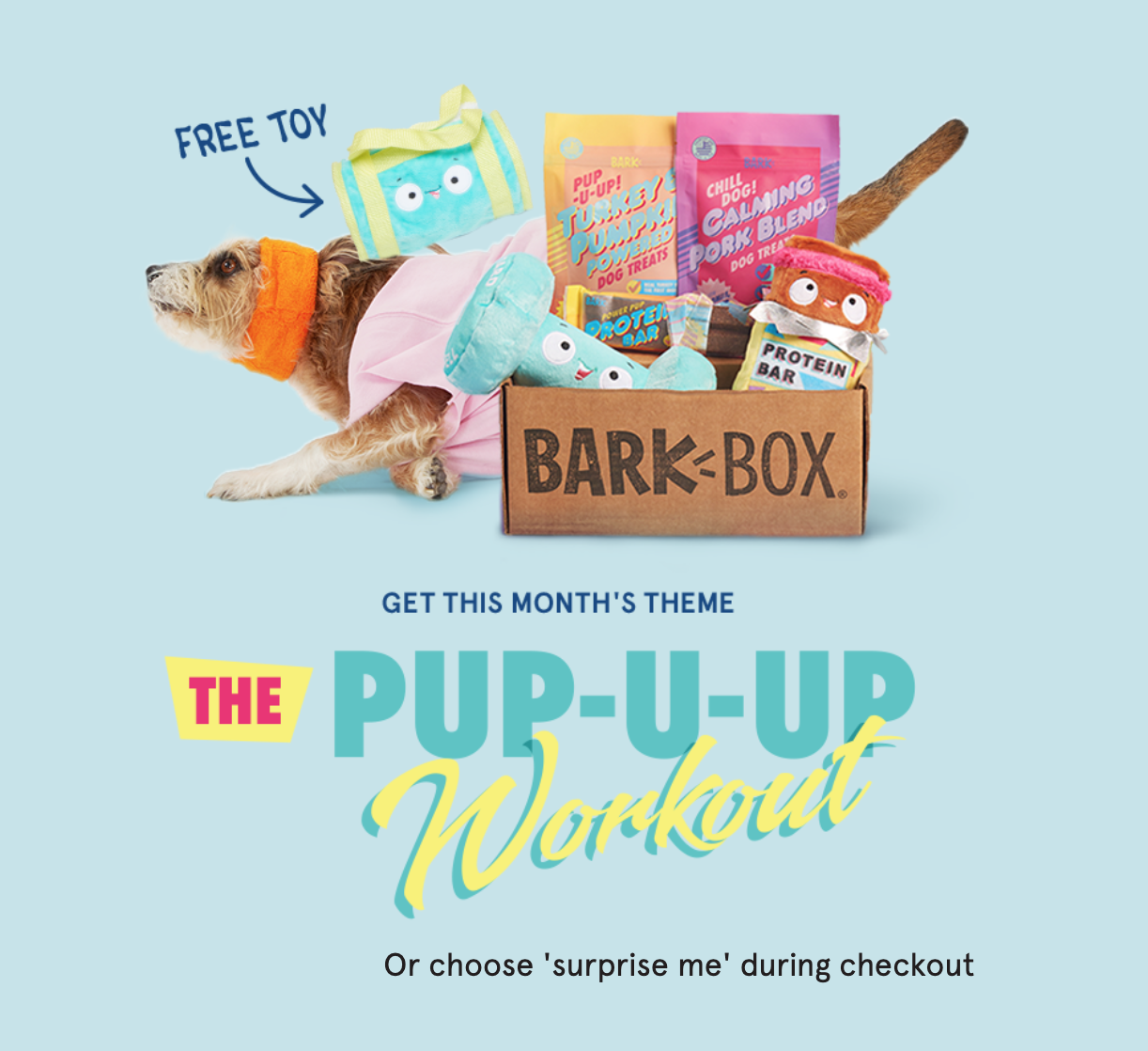 BarkBox Coupon – Free Bonus Toy Every Month with 6-Month Subscription!