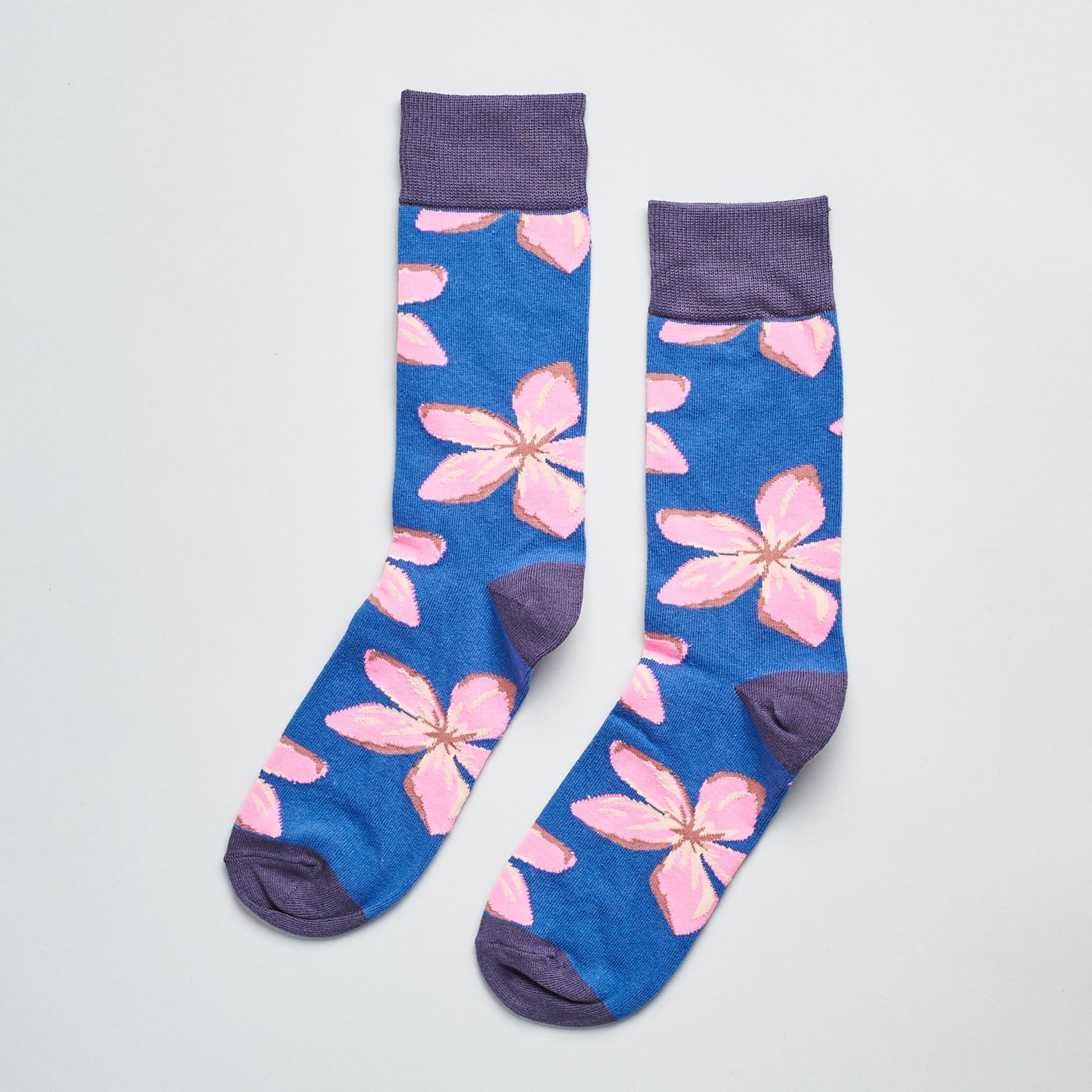 Society Socks May 2019 review hibiscus socks