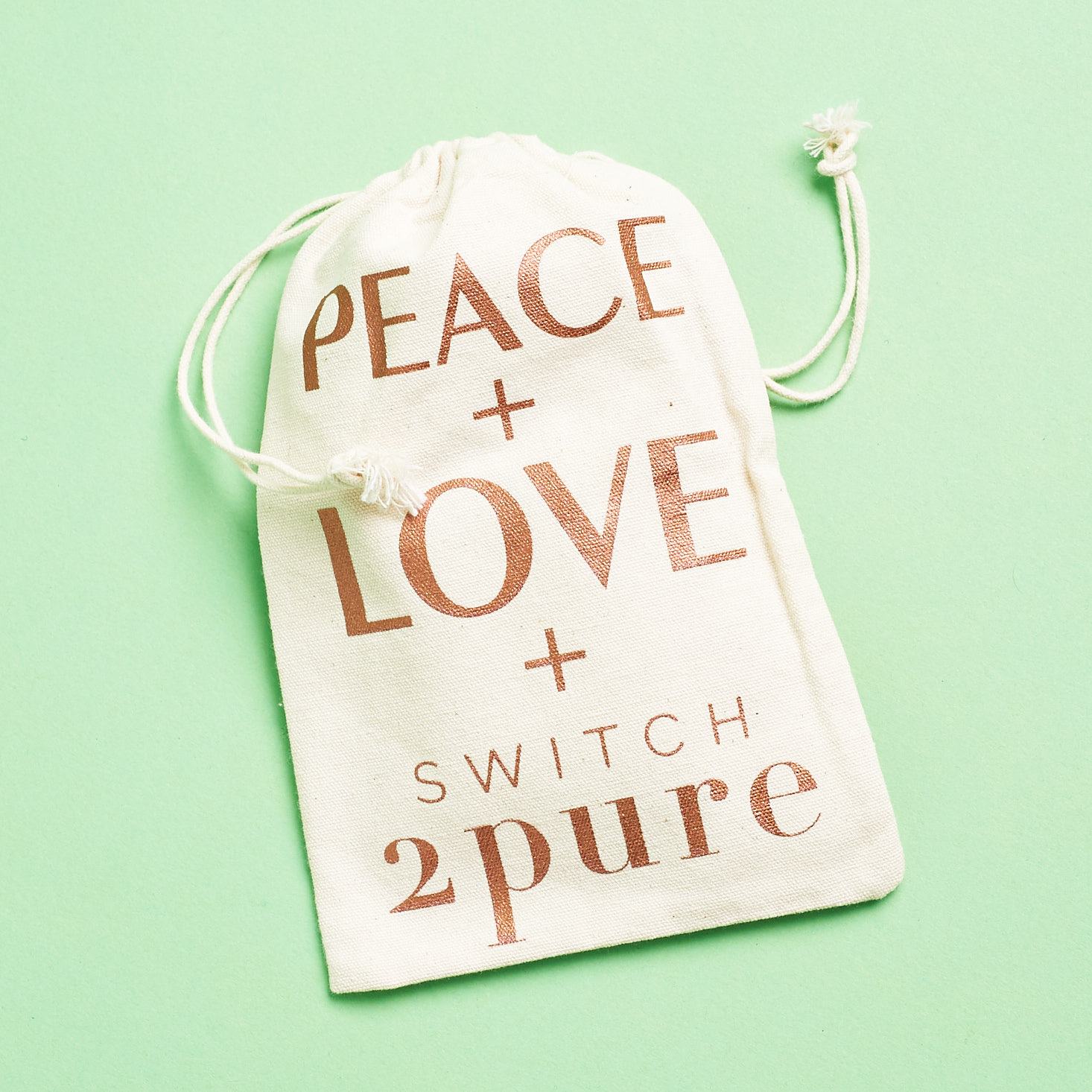 Switch 2 Pure pouch