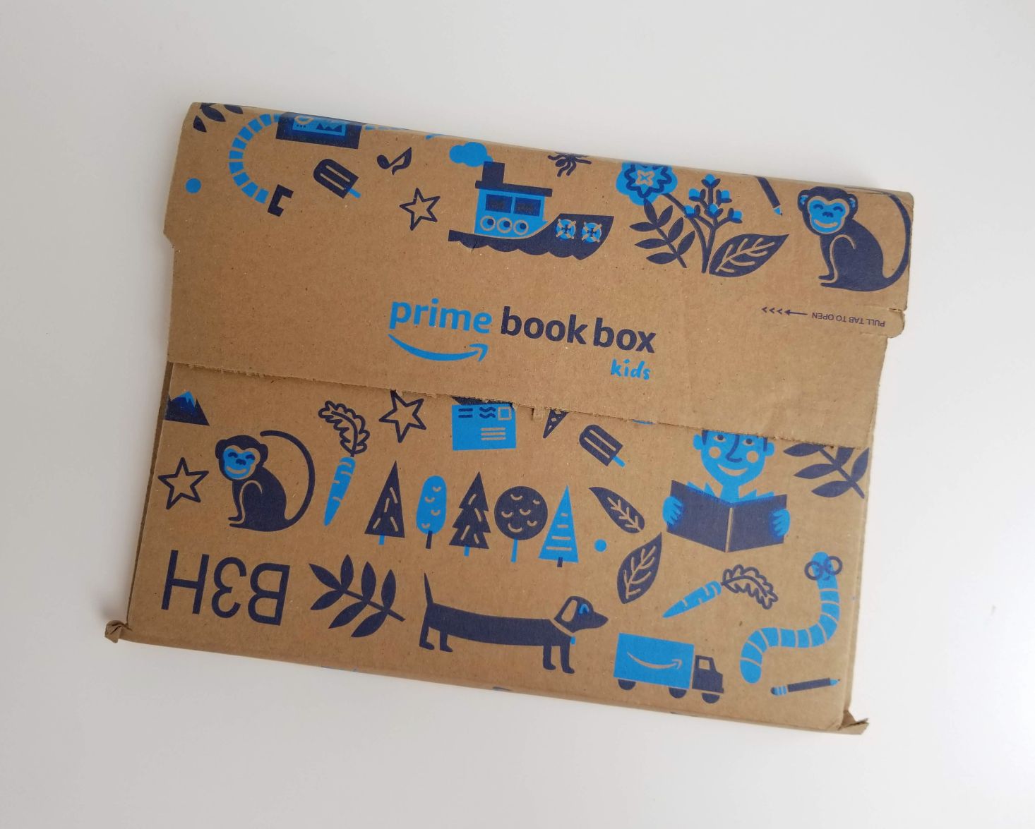 Amazon Prime Book Box, Ages 35 Review July 2019 MSA