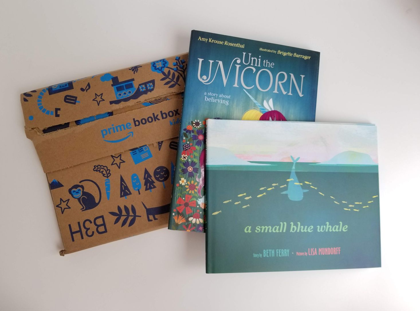 Amazon Prime Book Box, Ages 3-5 Review – June 2019