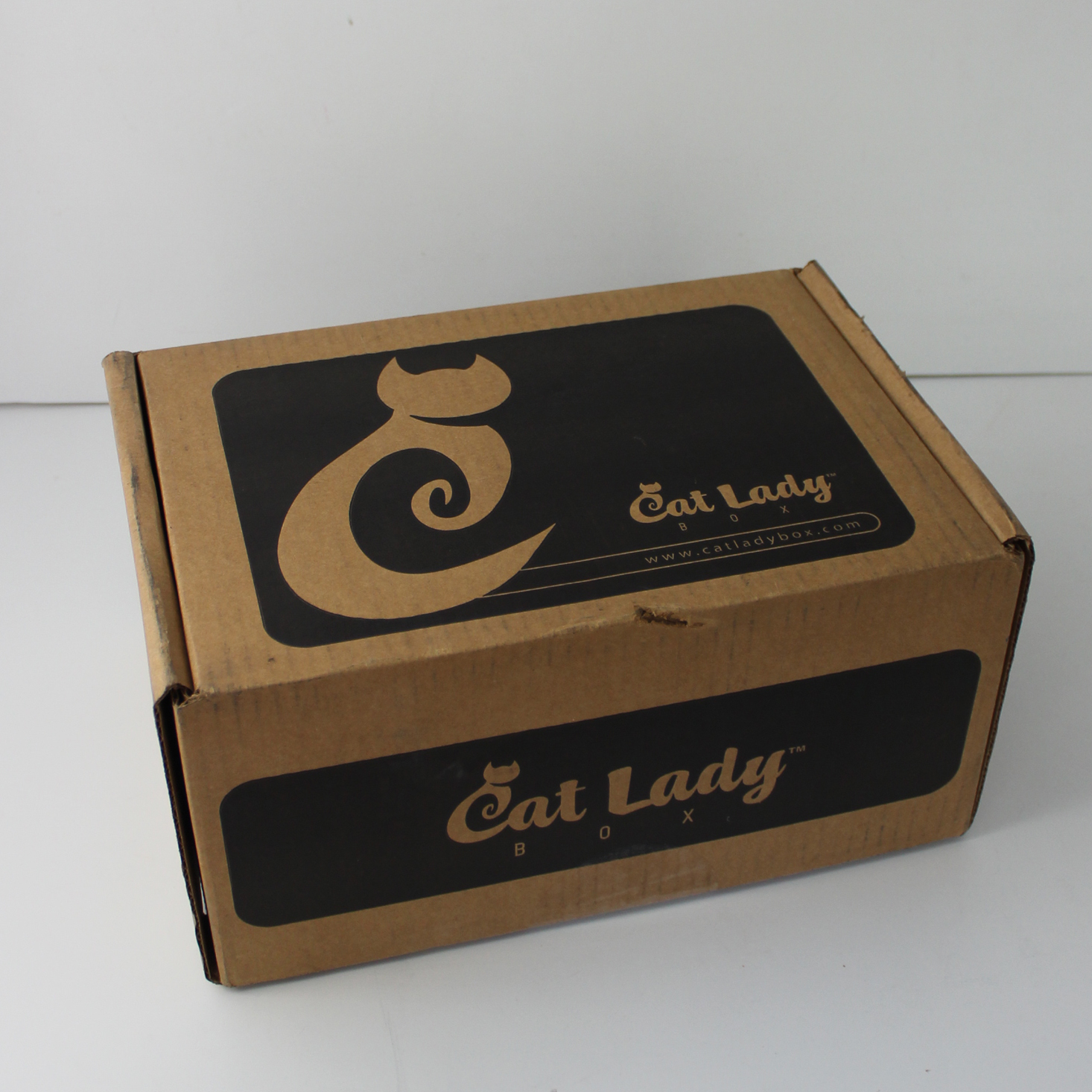 CatLadyBox Subscription Review + Coupon – July 2019