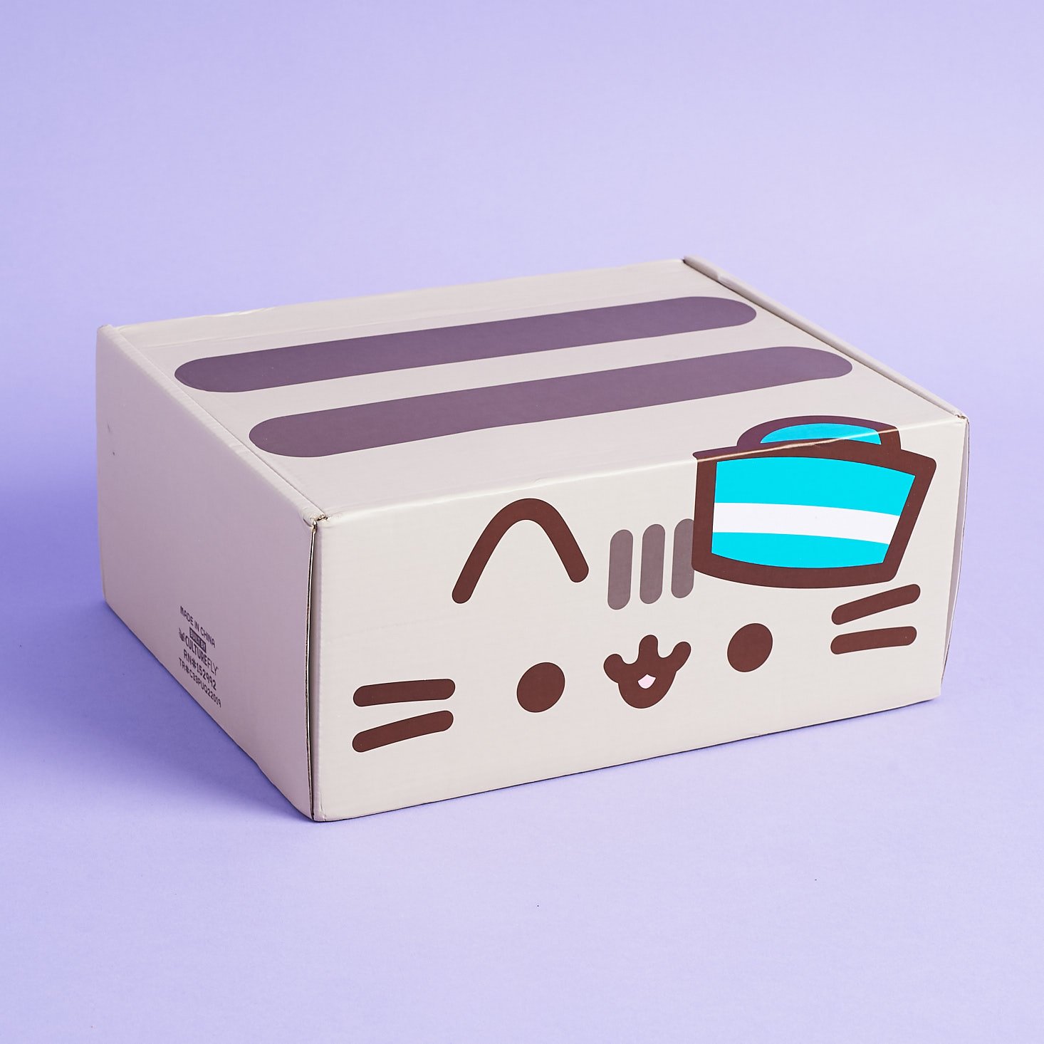 Pusheen Box, JoJo Siwa Box + More – CultureFly Boxes Shipping Updates