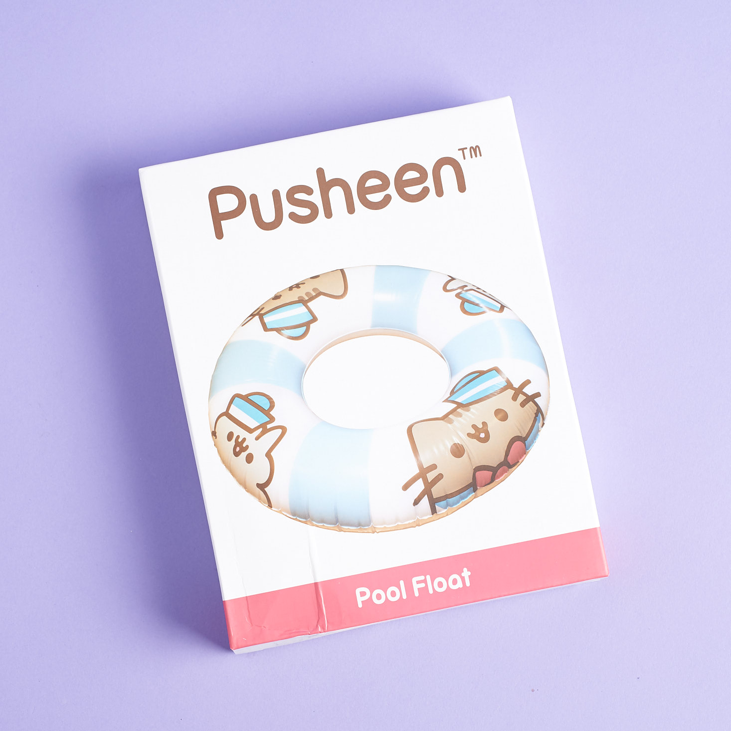 Box for Pusheen Pool Float