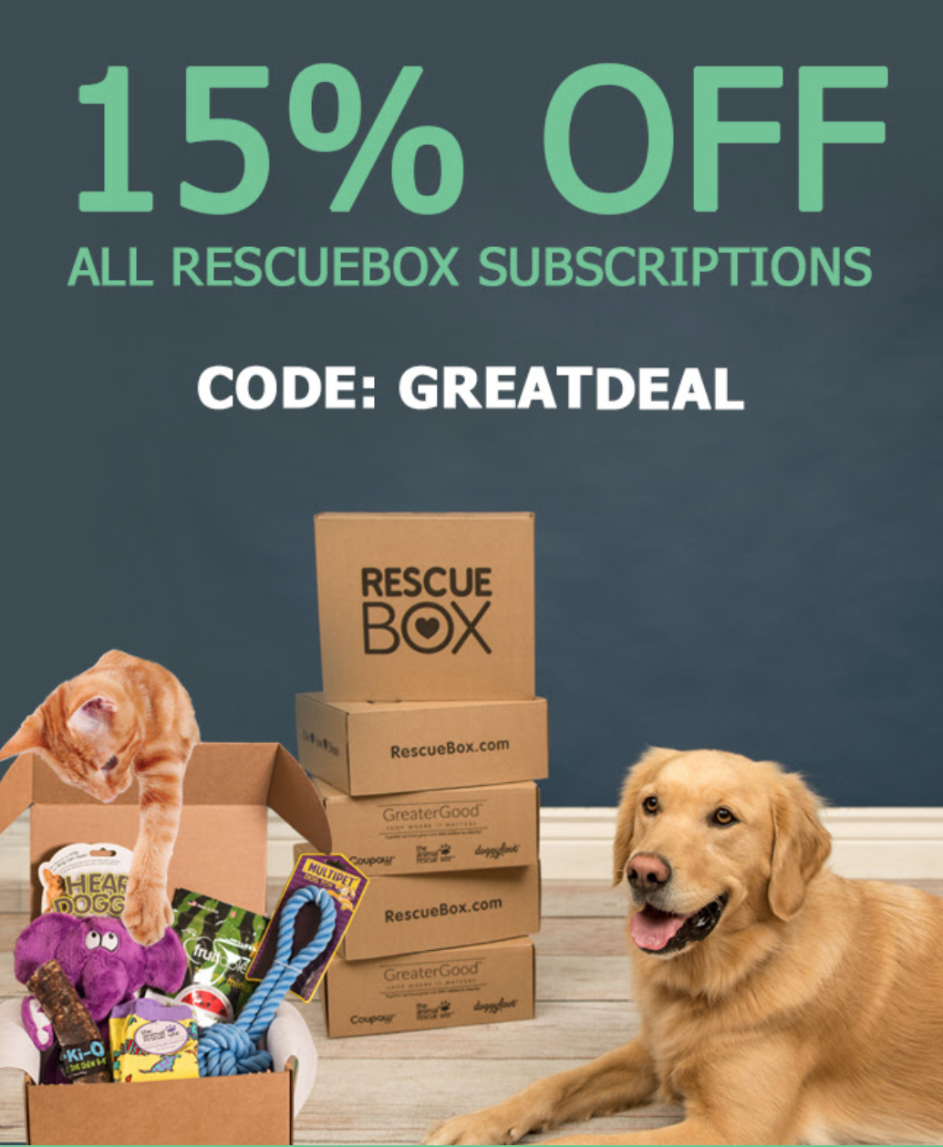 RescueBox Coupon – 15% Off Subscriptions!